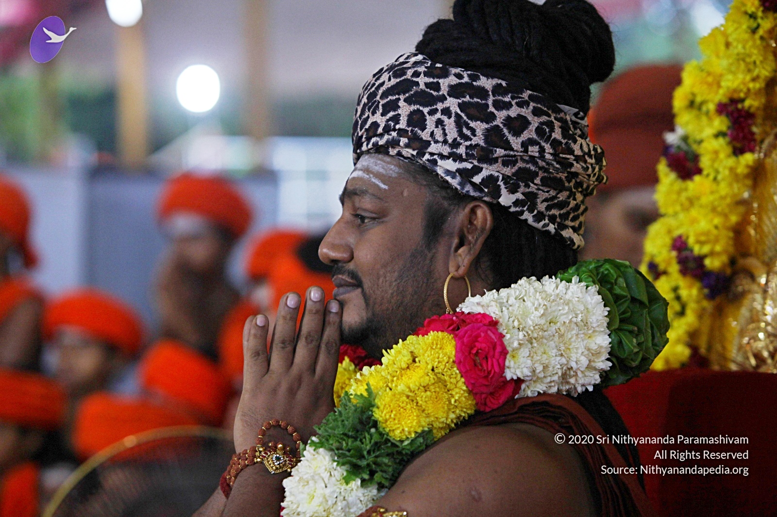 20170825_Photo_1027_IMG_1896_CMP_WM