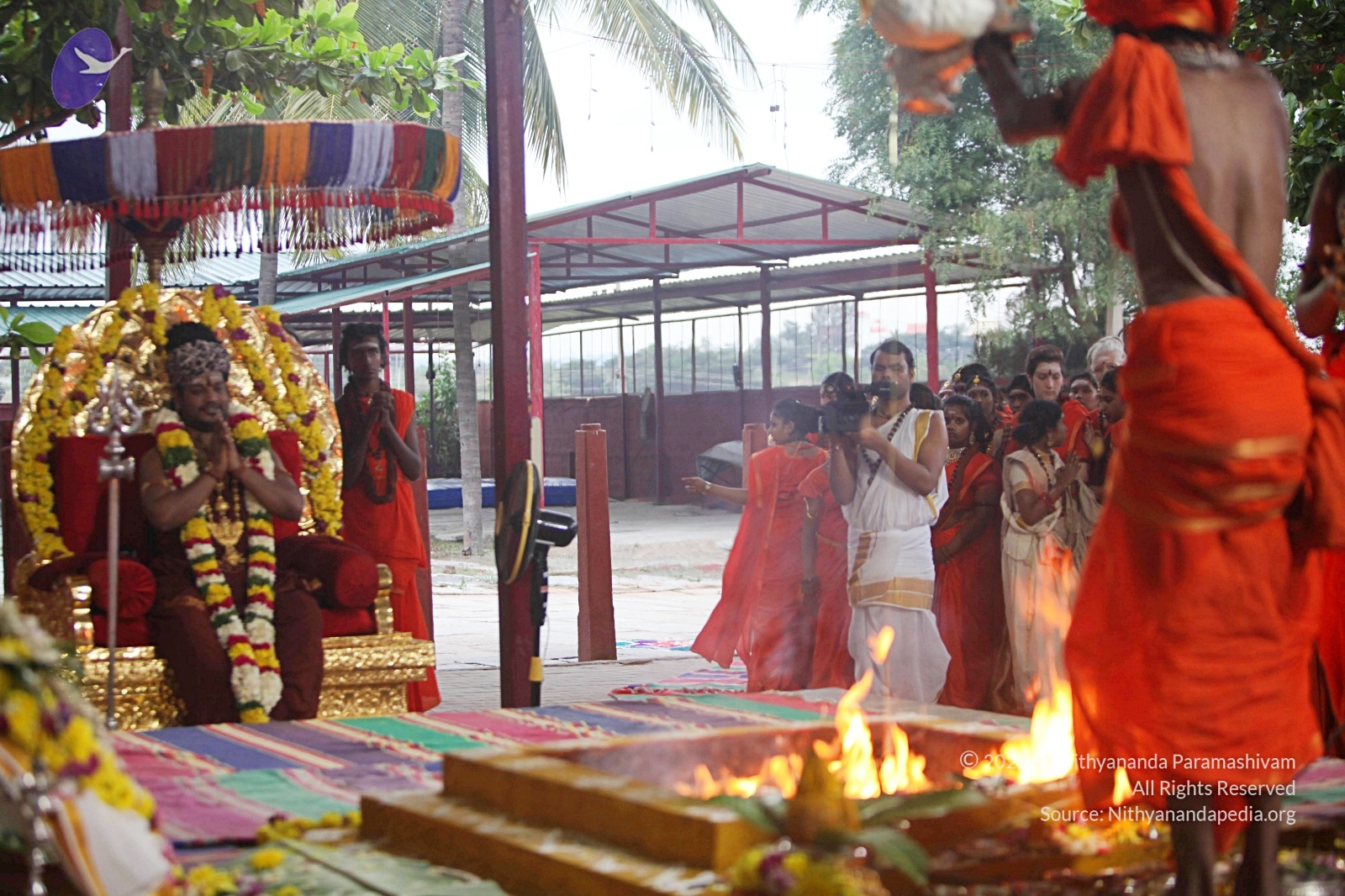 20170825_Photo_1044_IMG_1866_CMP_WM