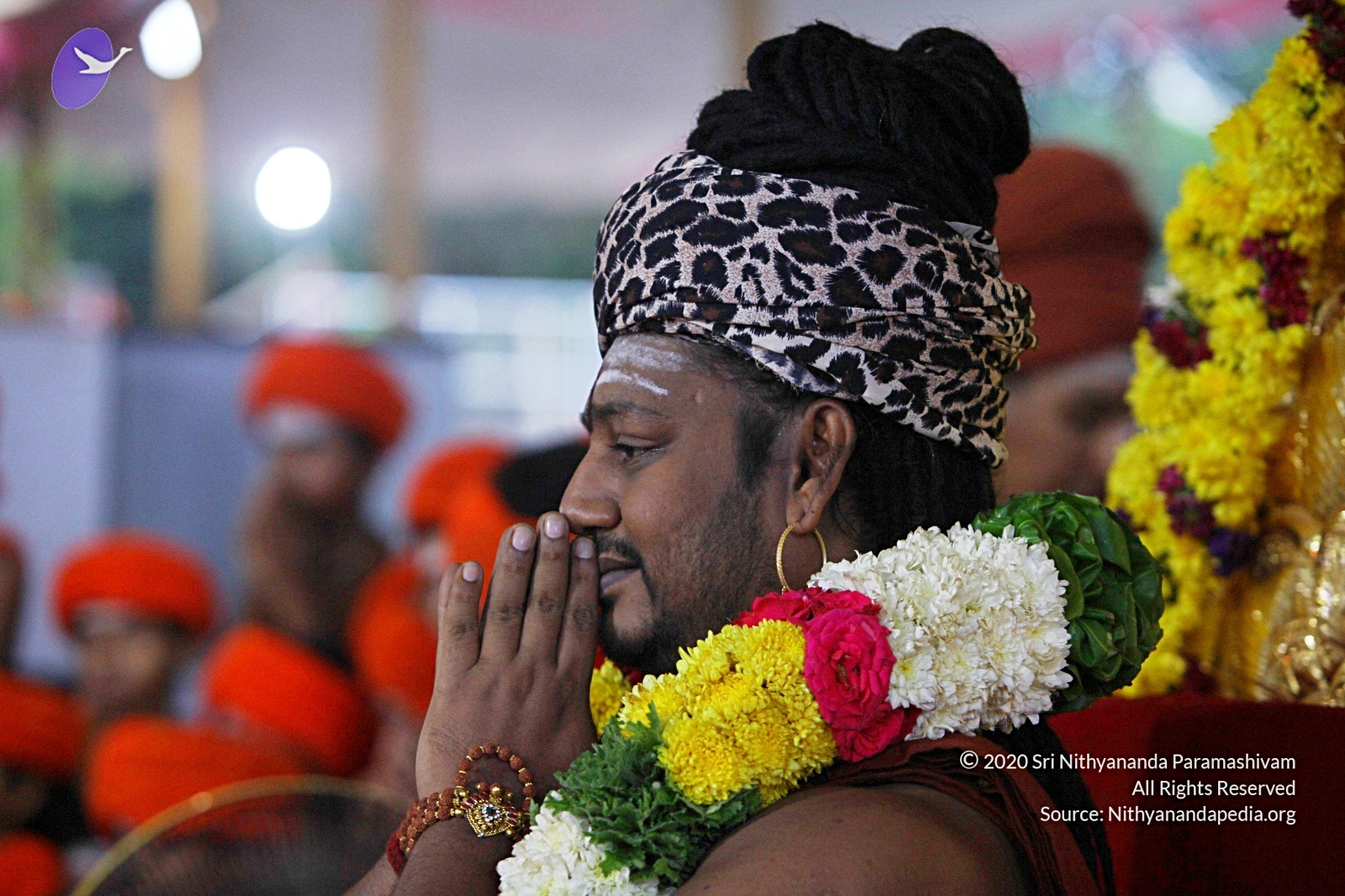 20170825_Photo_1050_IMG_1894_CMP_WM