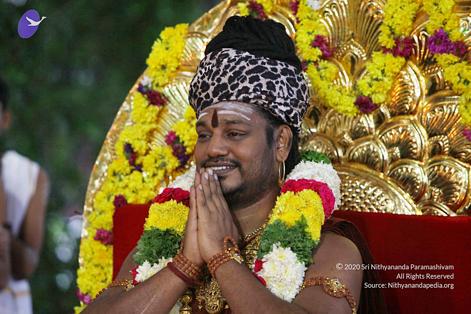 20170825_Photo_1064_IMG_1902_CMP_WM