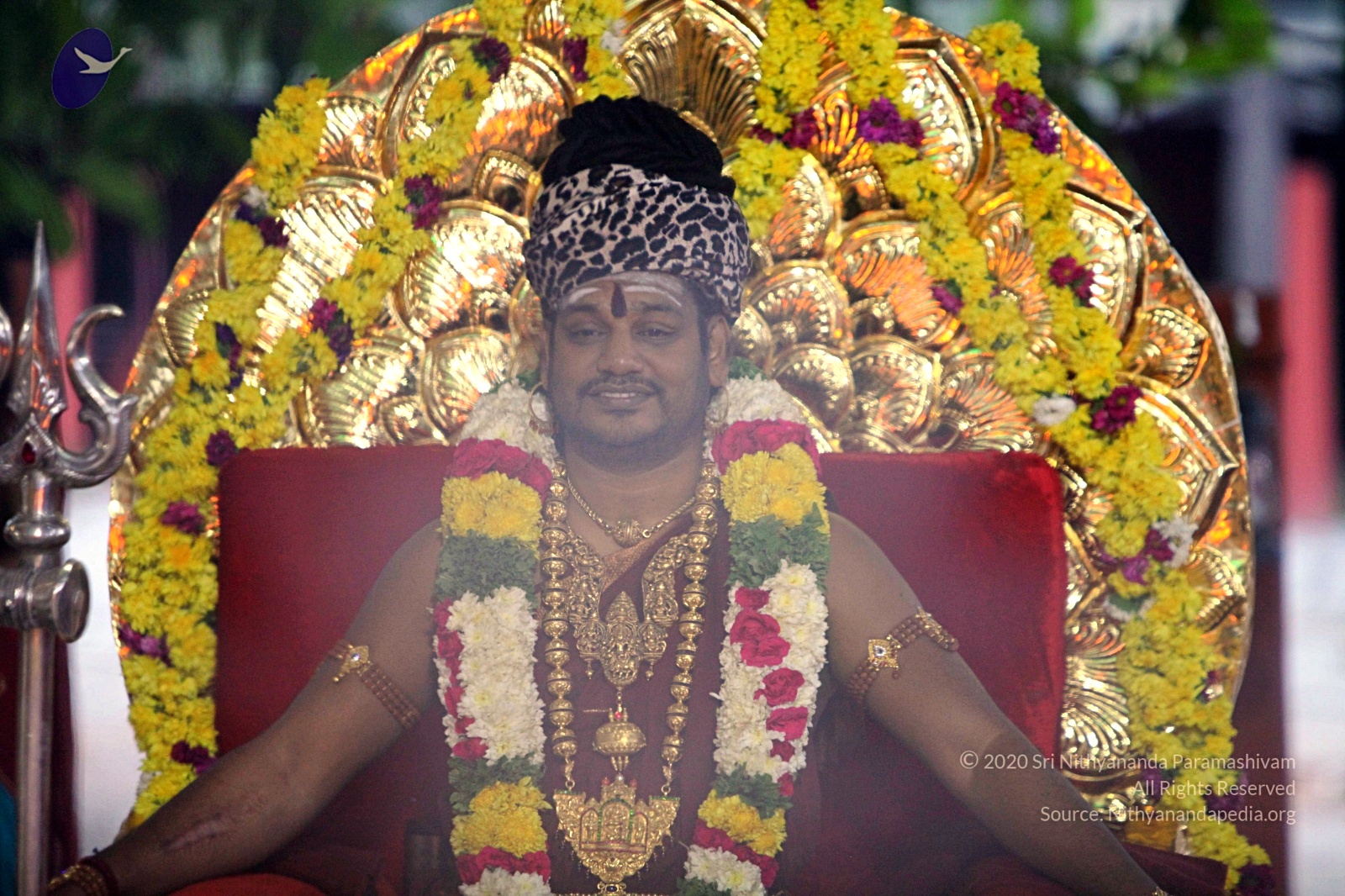 20170825_Photo_1067_IMG_1960_CMP_WM