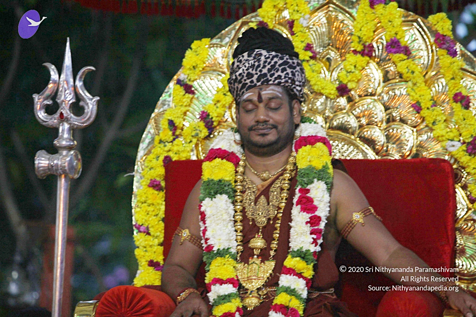 20170825_Photo_1069_IMG_2096_CMP_WM