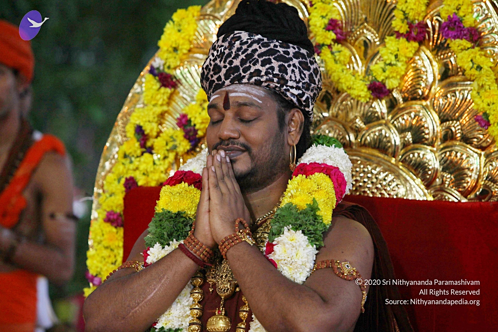 20170825_Photo_1071_IMG_1897_CMP_WM