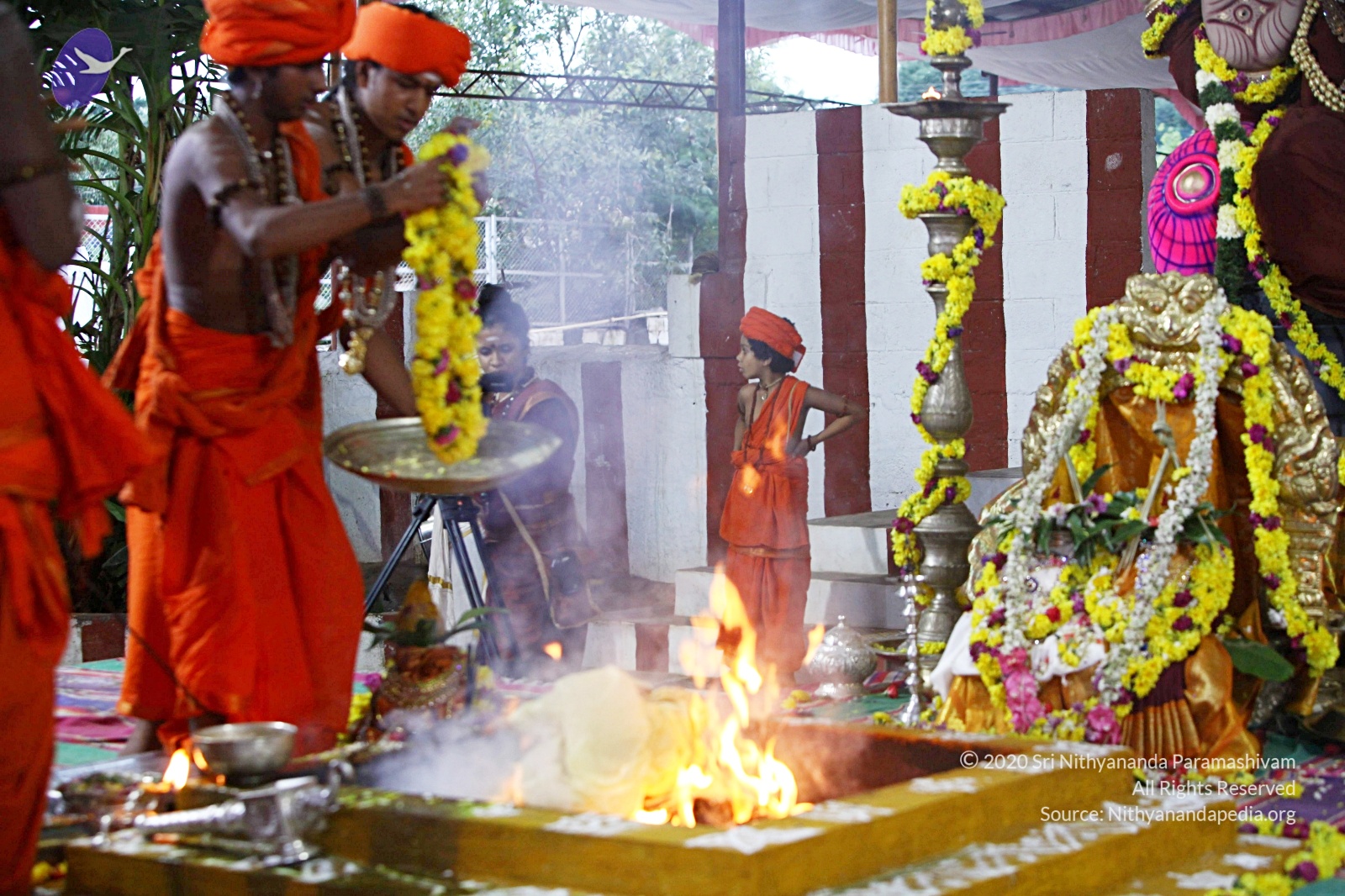 20170825_Photo_1075_IMG_1892_CMP_WM