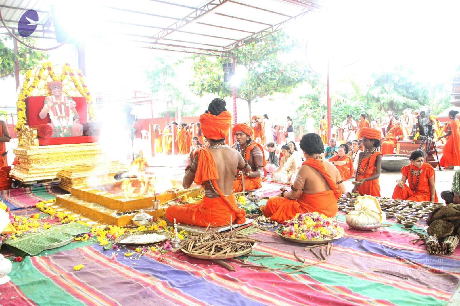 20170825_Photo_1082_IMG_0032_CMP_WM