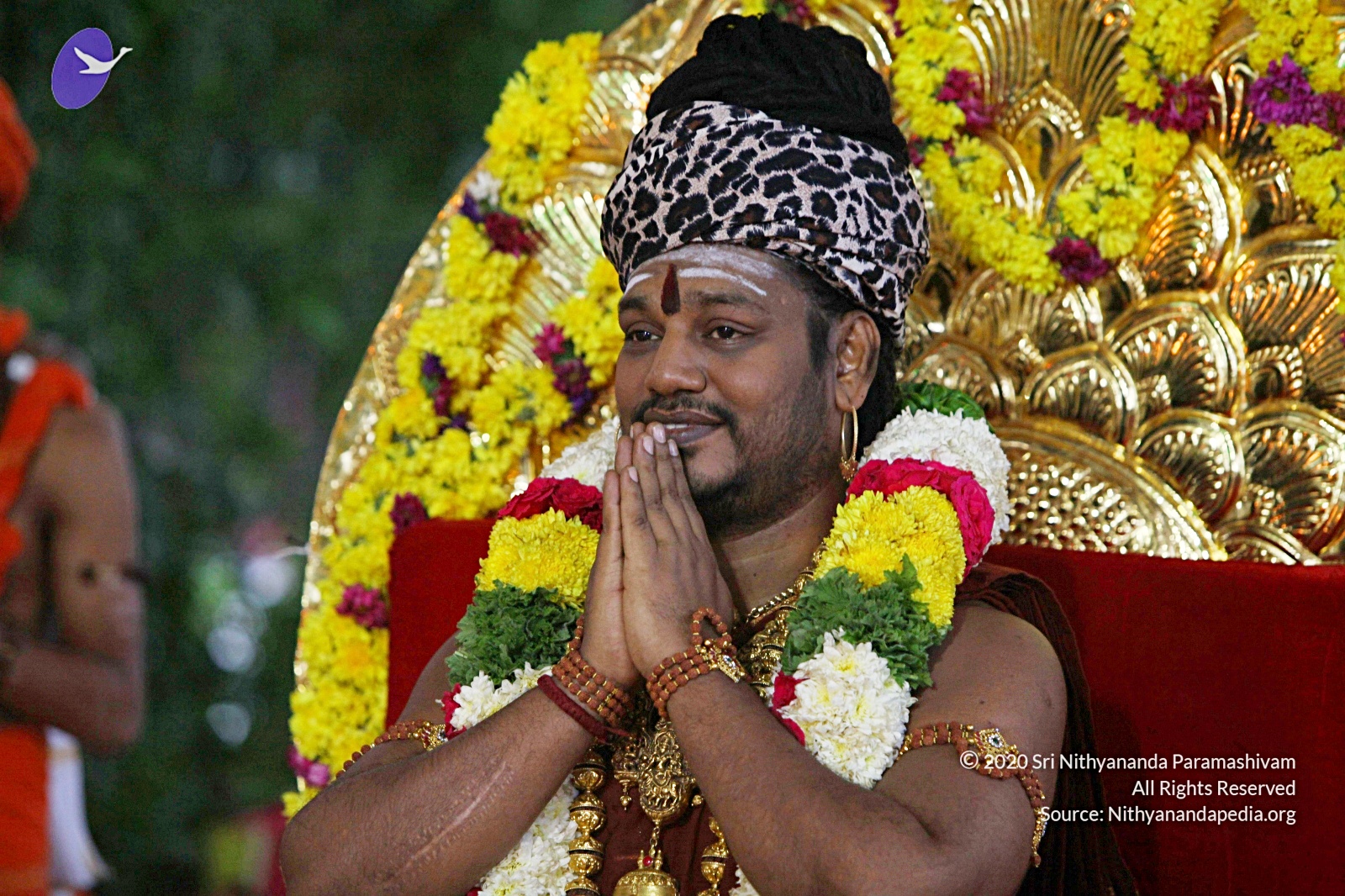 20170825_Photo_1088_IMG_1898_CMP_WM