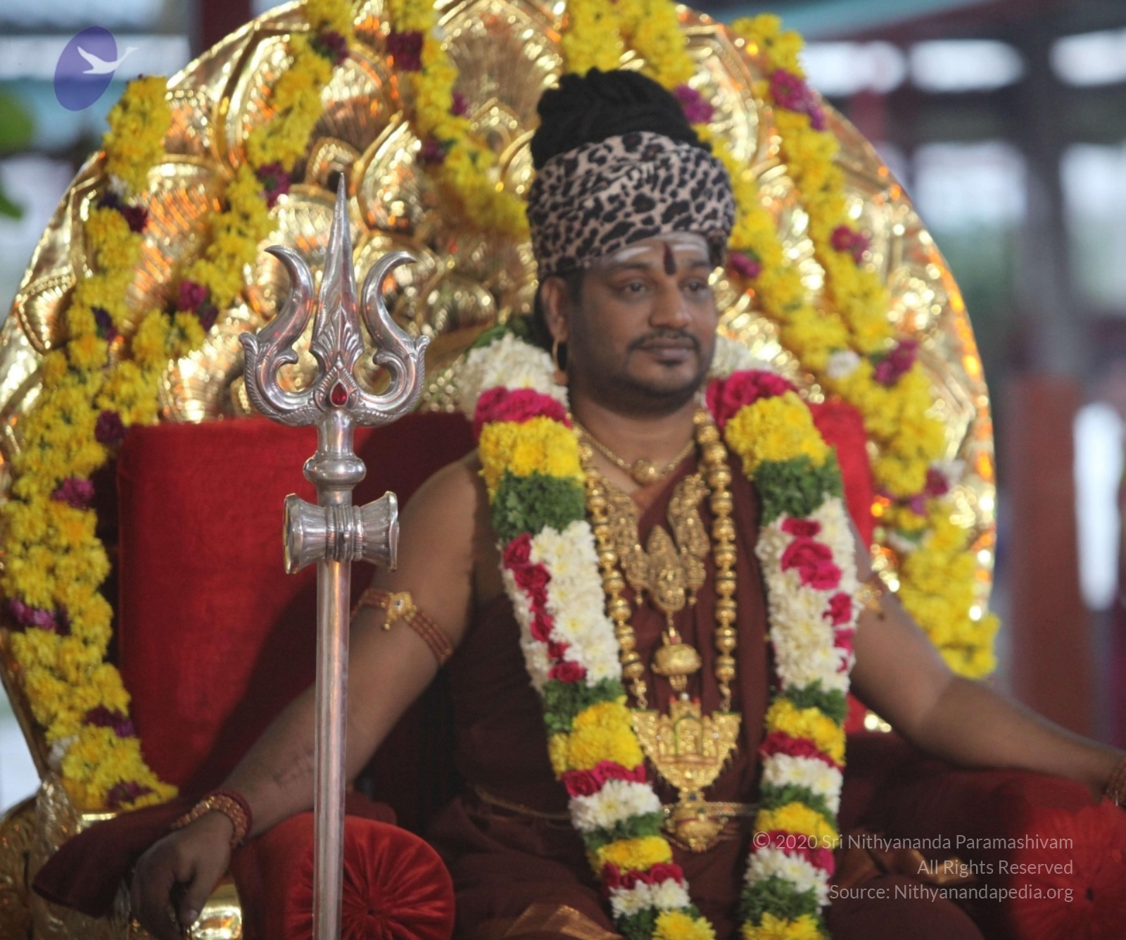 20170825_Photo_1089_IMG_1973_CMP_WM