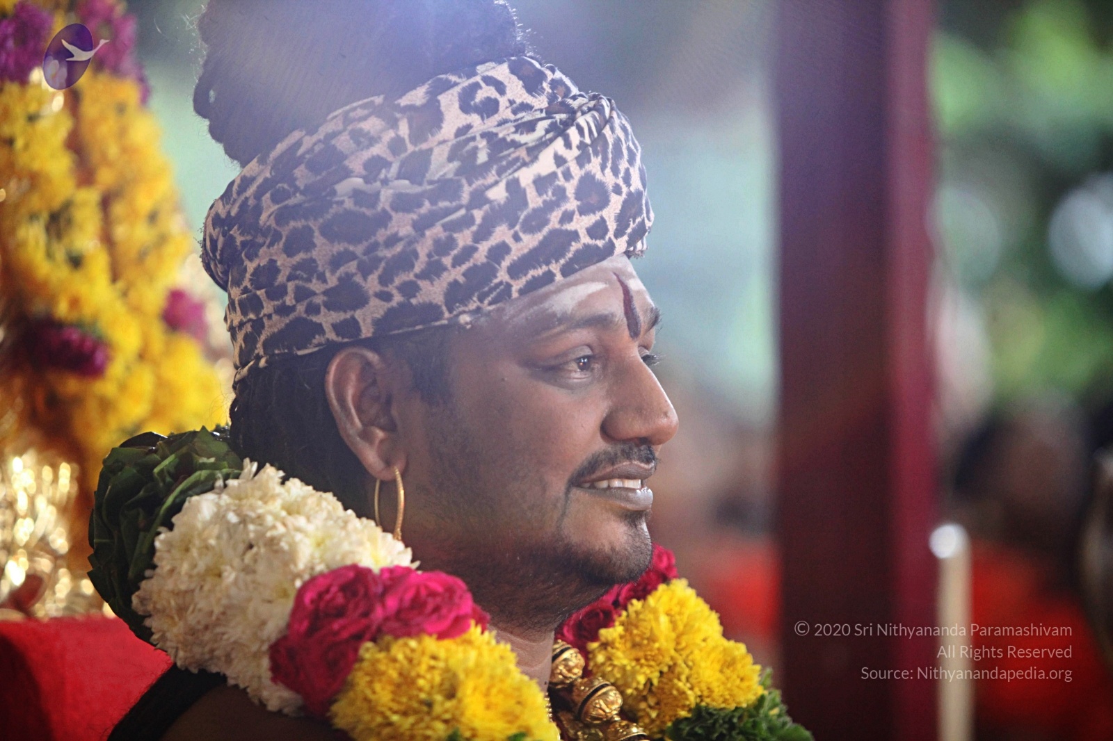 20170825_Photo_1091_IMG_1944_CMP_WM