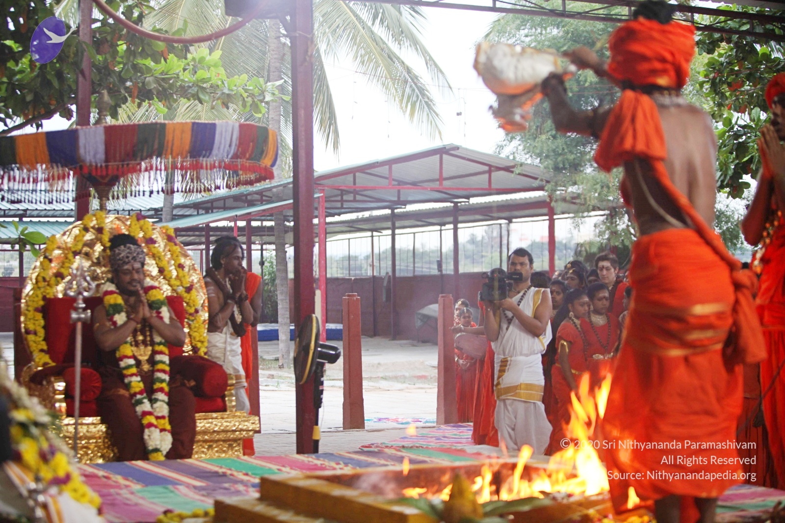 20170825_Photo_1092_IMG_1867_CMP_WM