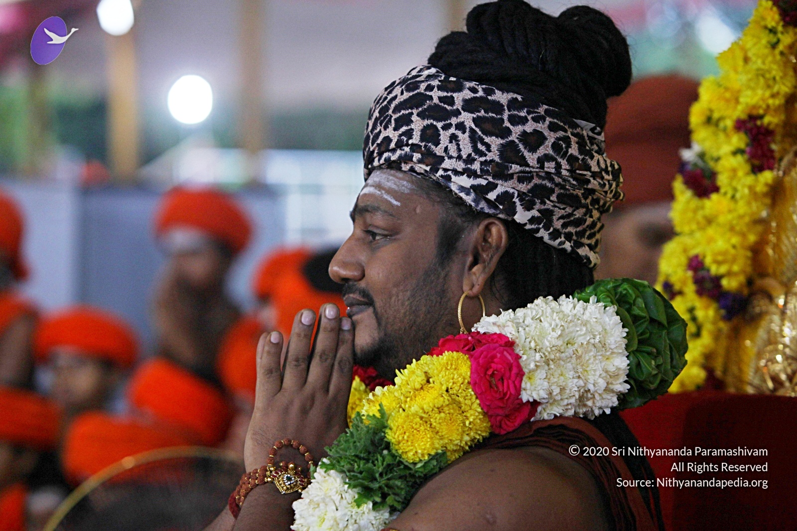 20170825_Photo_1096_IMG_1895_CMP_WM