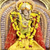 20170825_Photo_1015_IMG_2556_CMP_WM