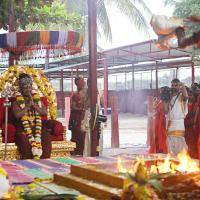 20170825_Photo_1004_IMG_1870_CMP_WM