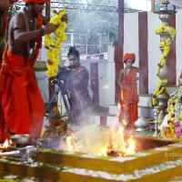 20170825_Photo_1011_IMG_1893_CMP_WM