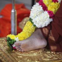 20170825_Photo_1020_IMG_1942_CMP_WM