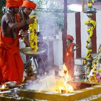 20170825_Photo_1075_IMG_1892_CMP_WM