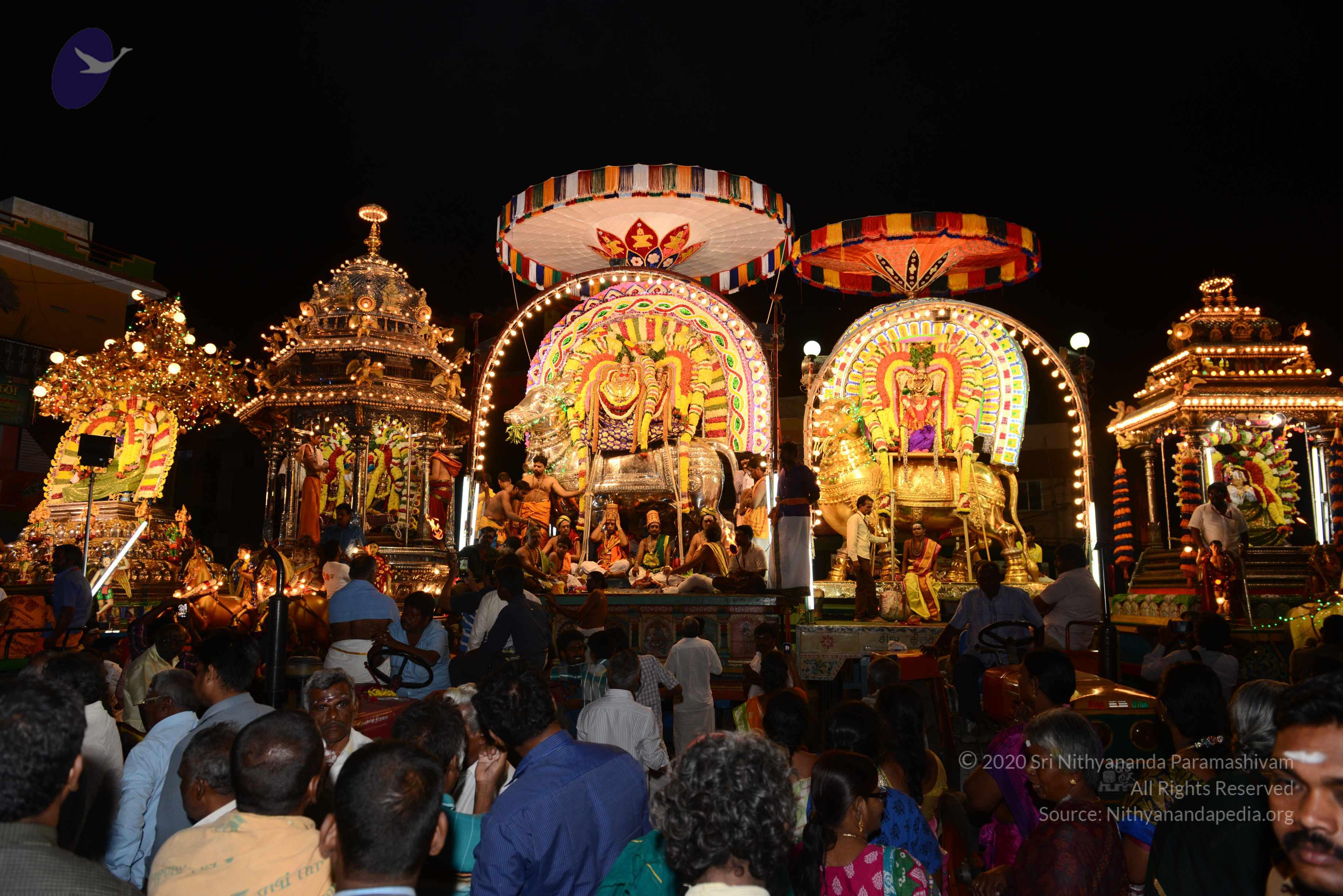 20170207_Photo_1009_DSC_0565_CMP_WM