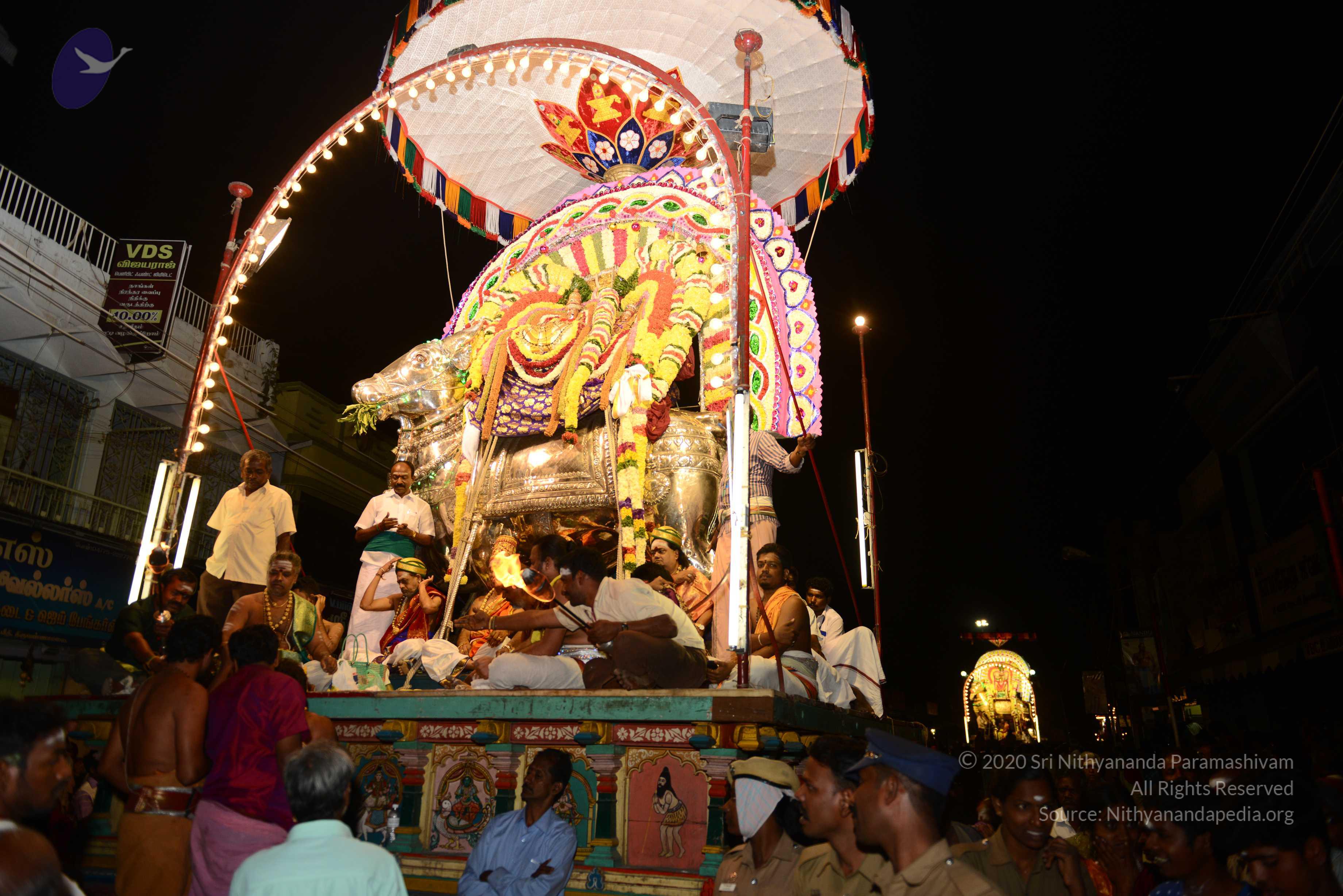 20170207_Photo_1011_DSC_0230_CMP_WM