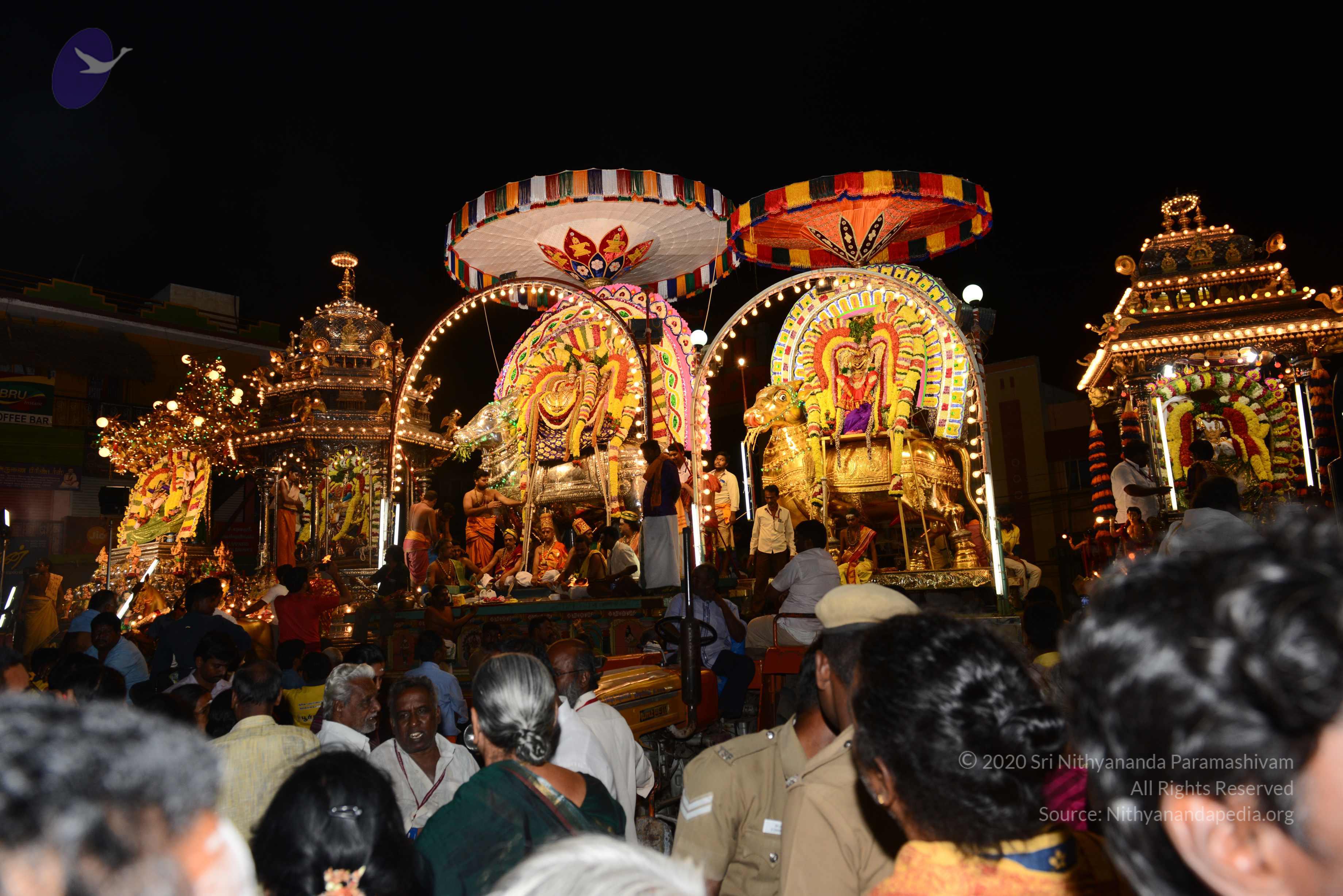 20170207_Photo_1012_DSC_0552_CMP_WM