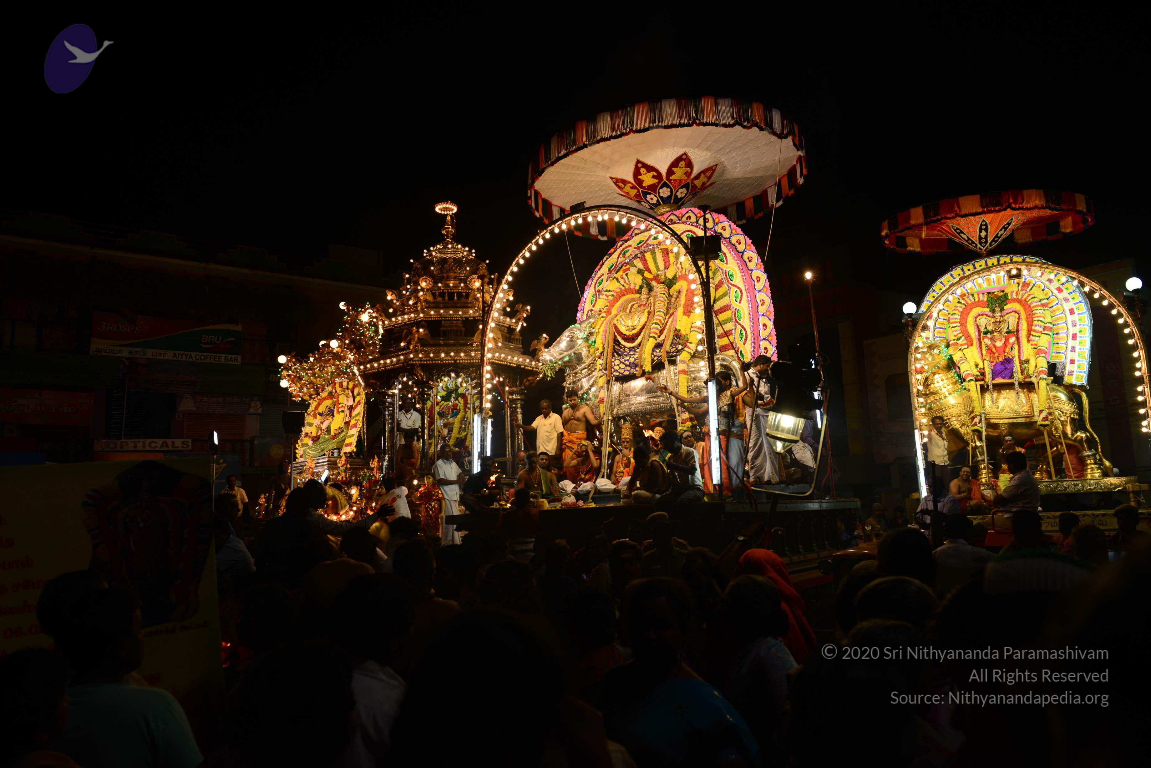 20170207_Photo_1015_DSC_0530_CMP_WM