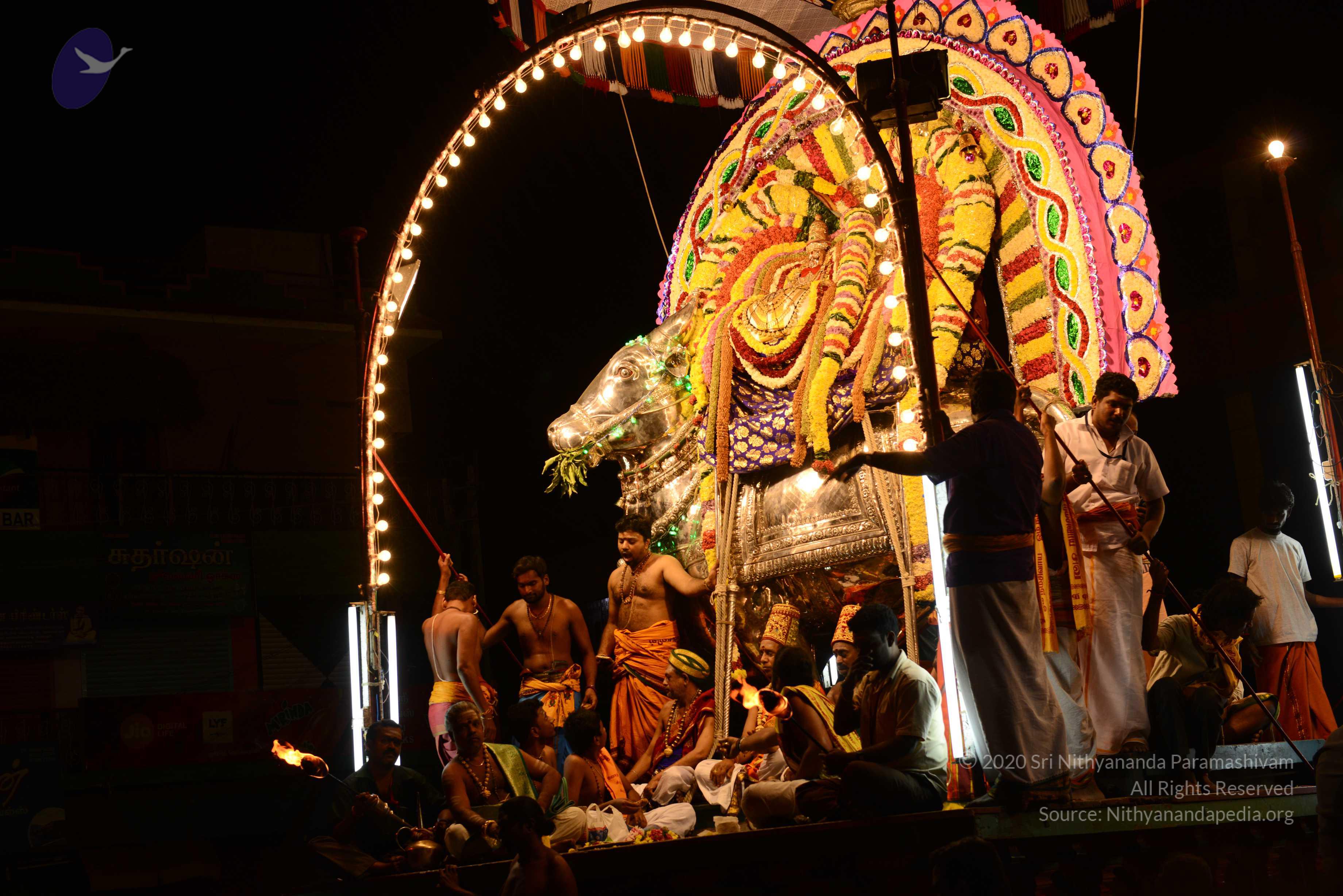 20170207_Photo_1018_DSC_0579_CMP_WM