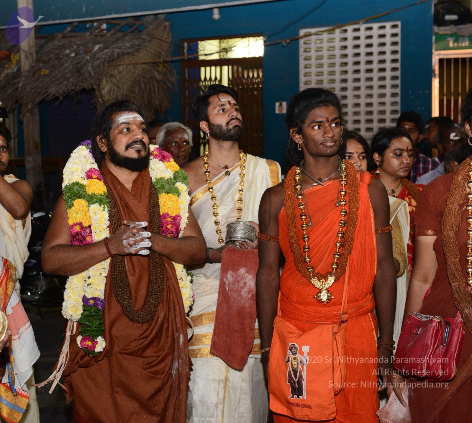 20170207_Photo_1027_DSC_0499_CMP_WM Done