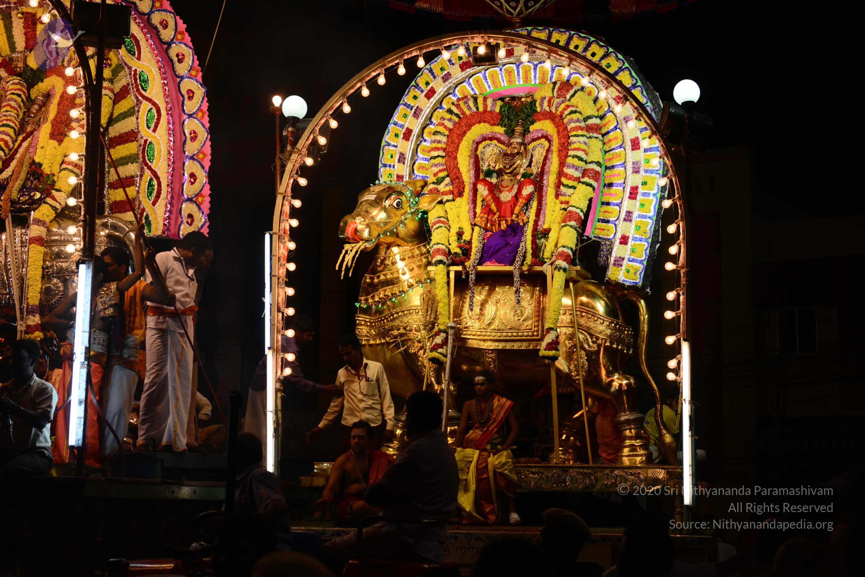 20170207_Photo_1031_DSC_0535_CMP_WM