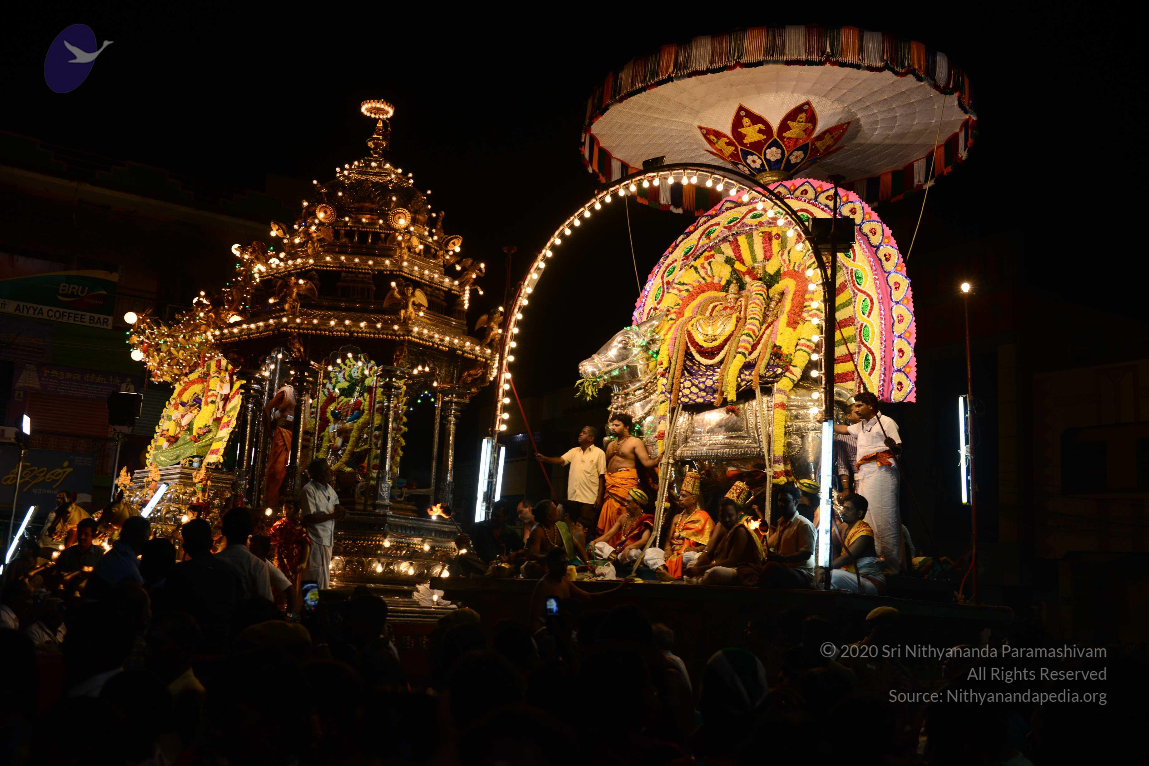 20170207_Photo_1034_DSC_0502_CMP_WM