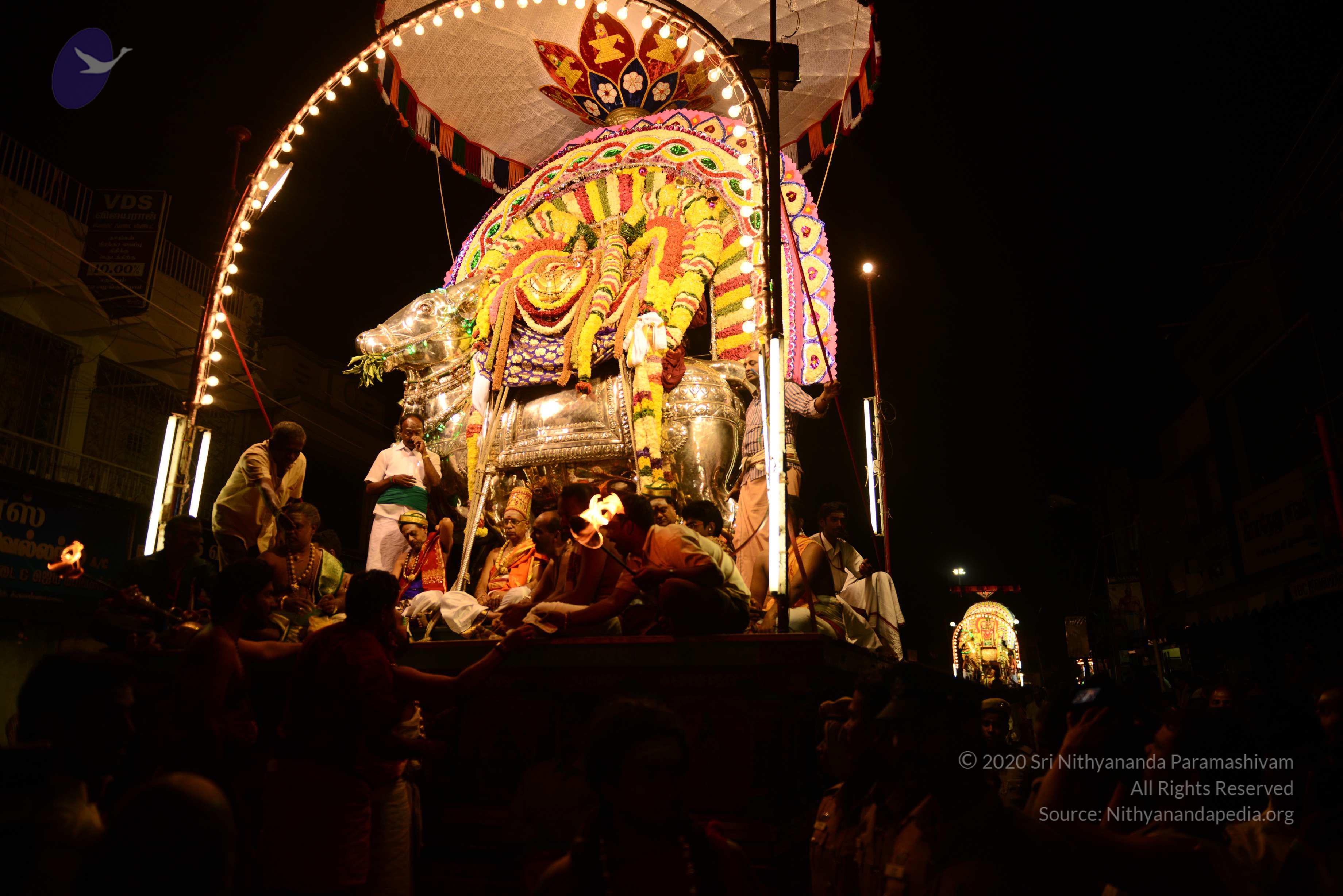 20170207_Photo_1037_DSC_0229_CMP_WM