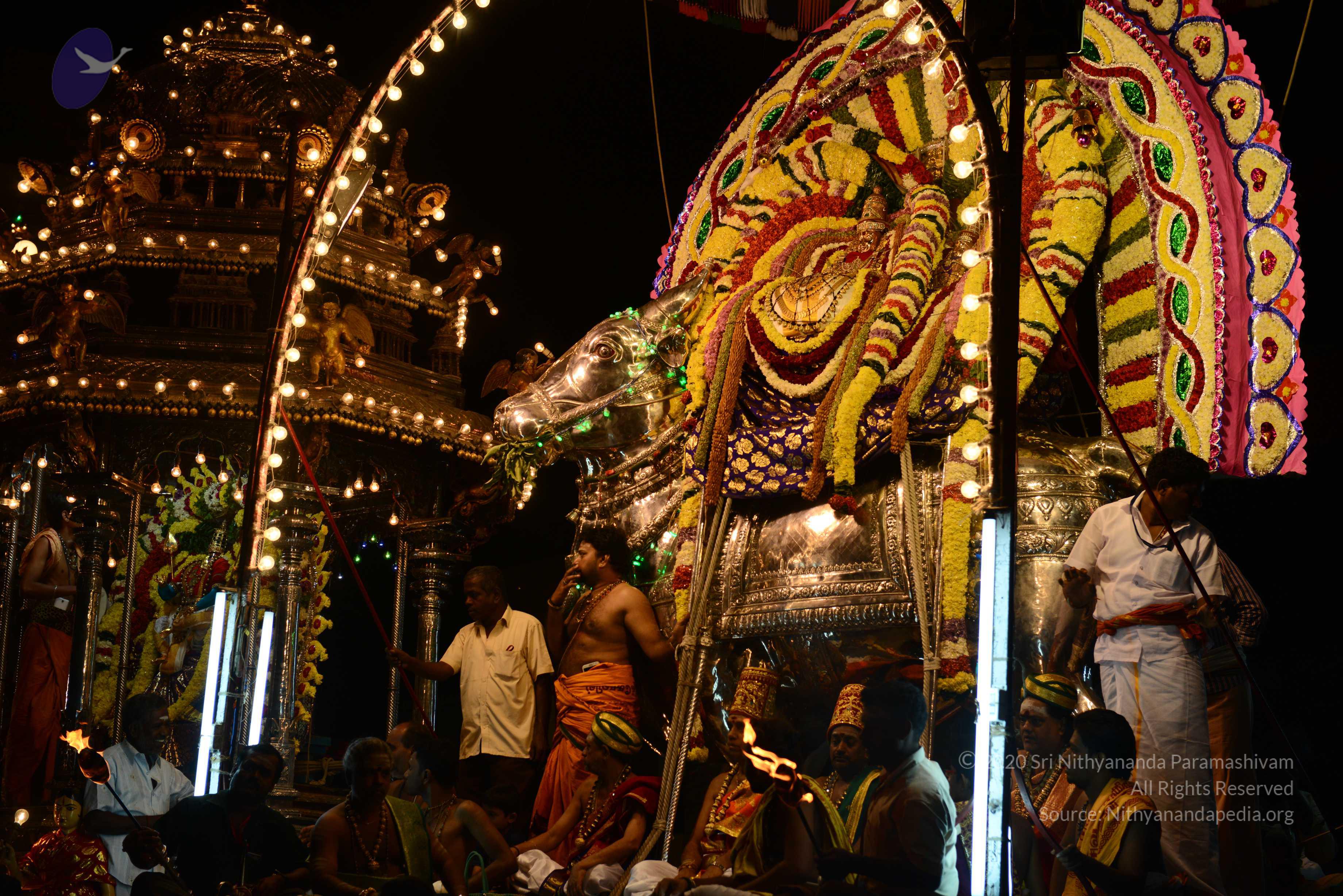 20170207_Photo_1042_DSC_0513_CMP_WM