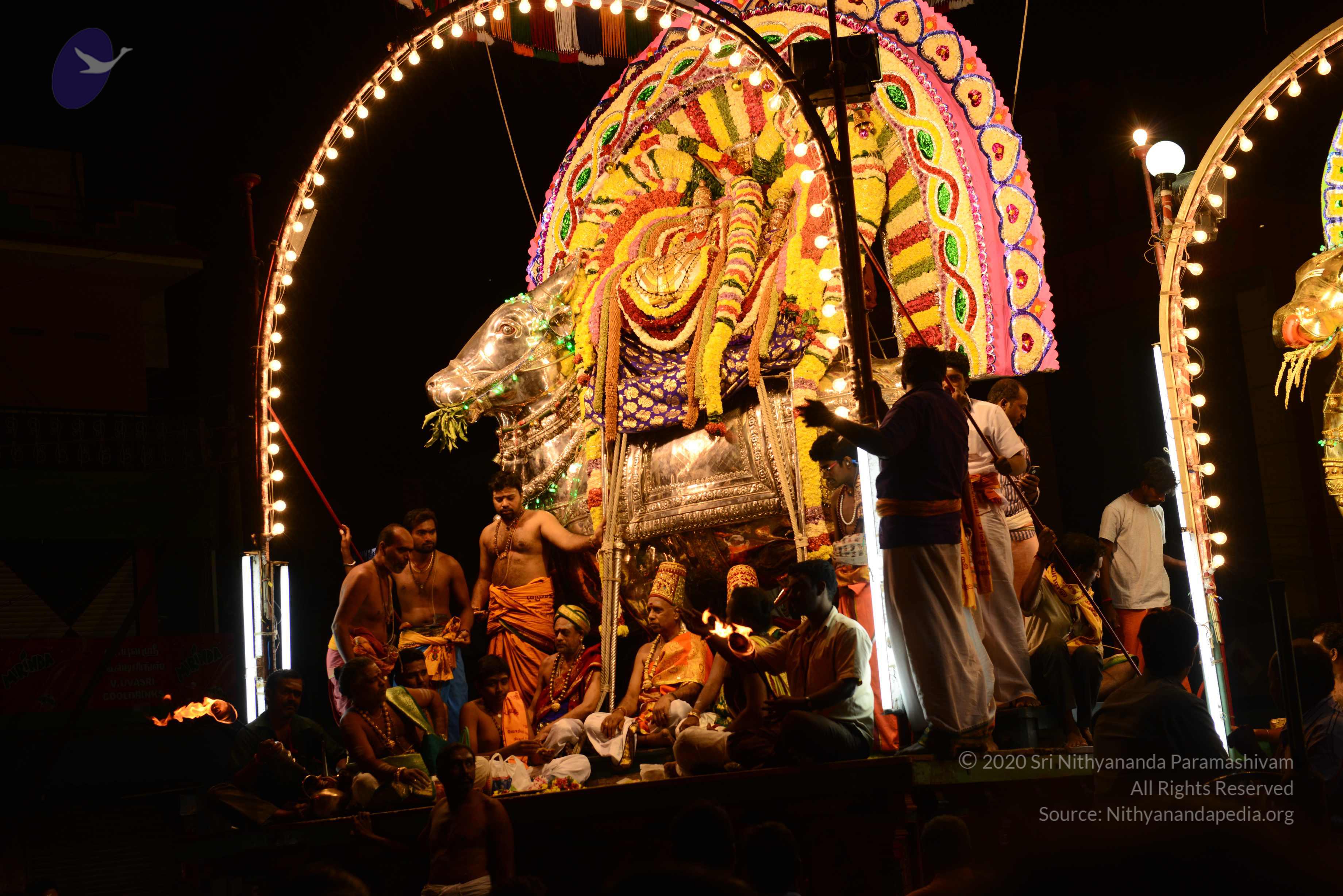 20170207_Photo_1054_DSC_0576_CMP_WM