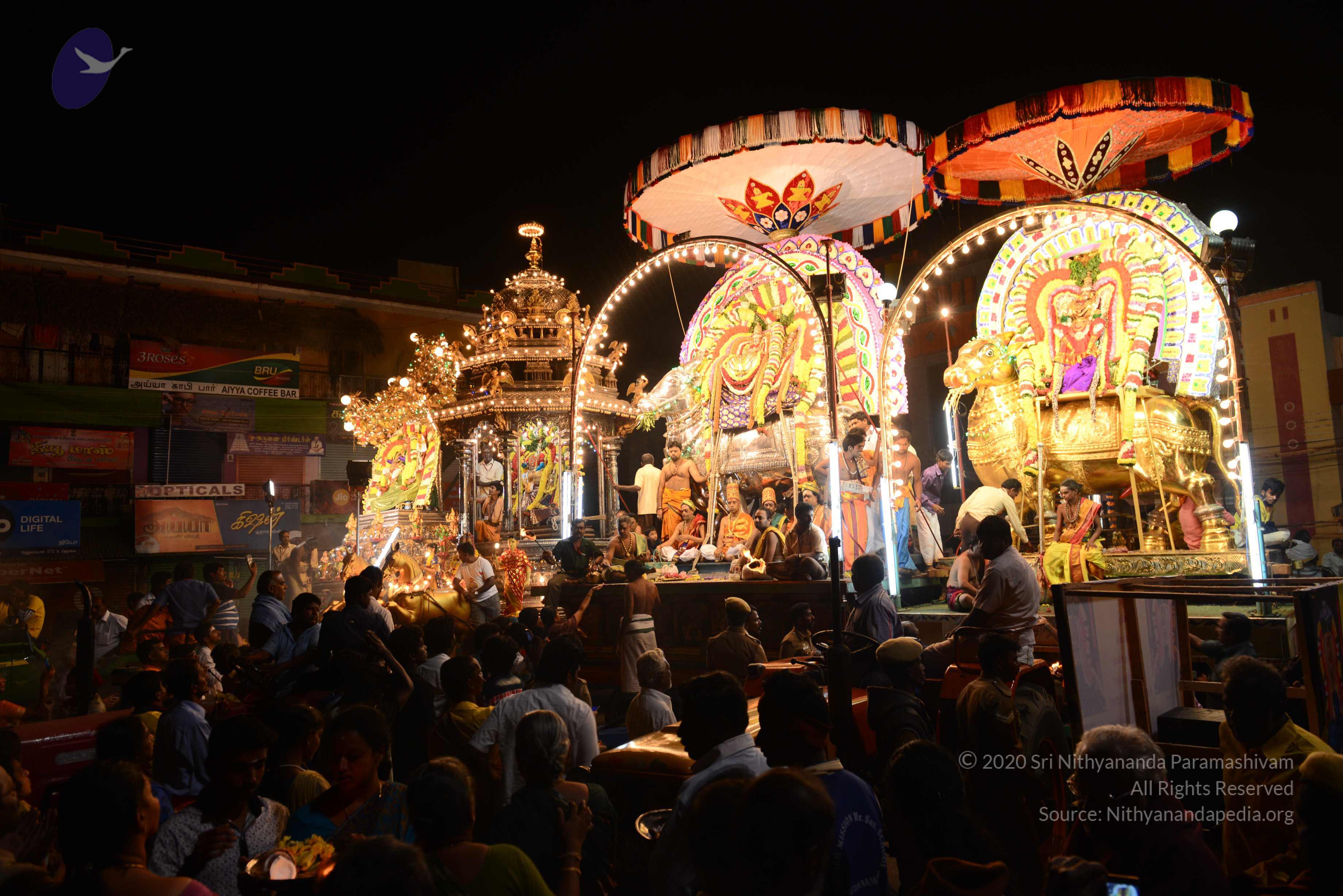 20170207_Photo_1055_DSC_0541_CMP_WM