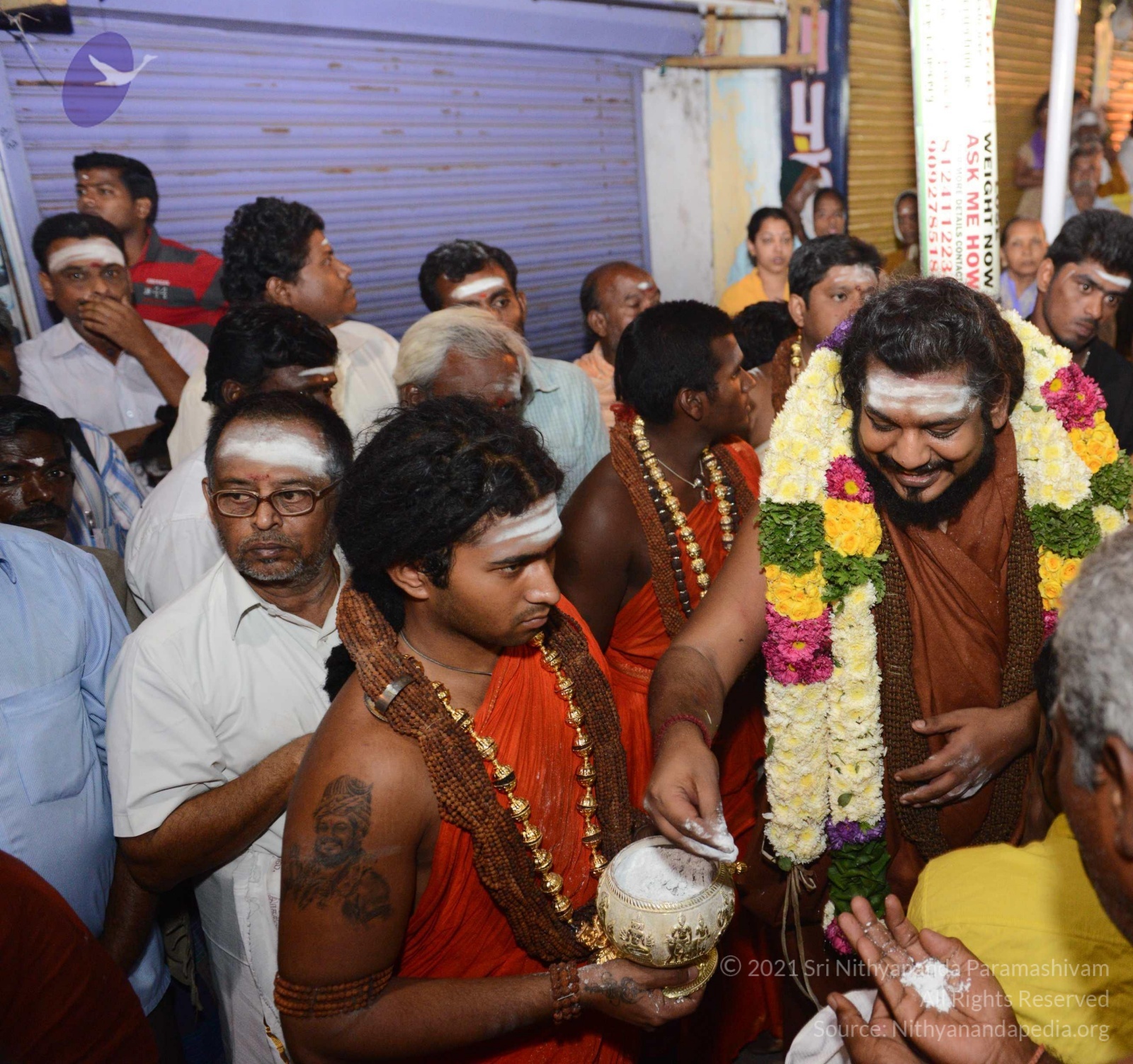 20170207_Photo_1087_DSC_0380_CMP_WM Done