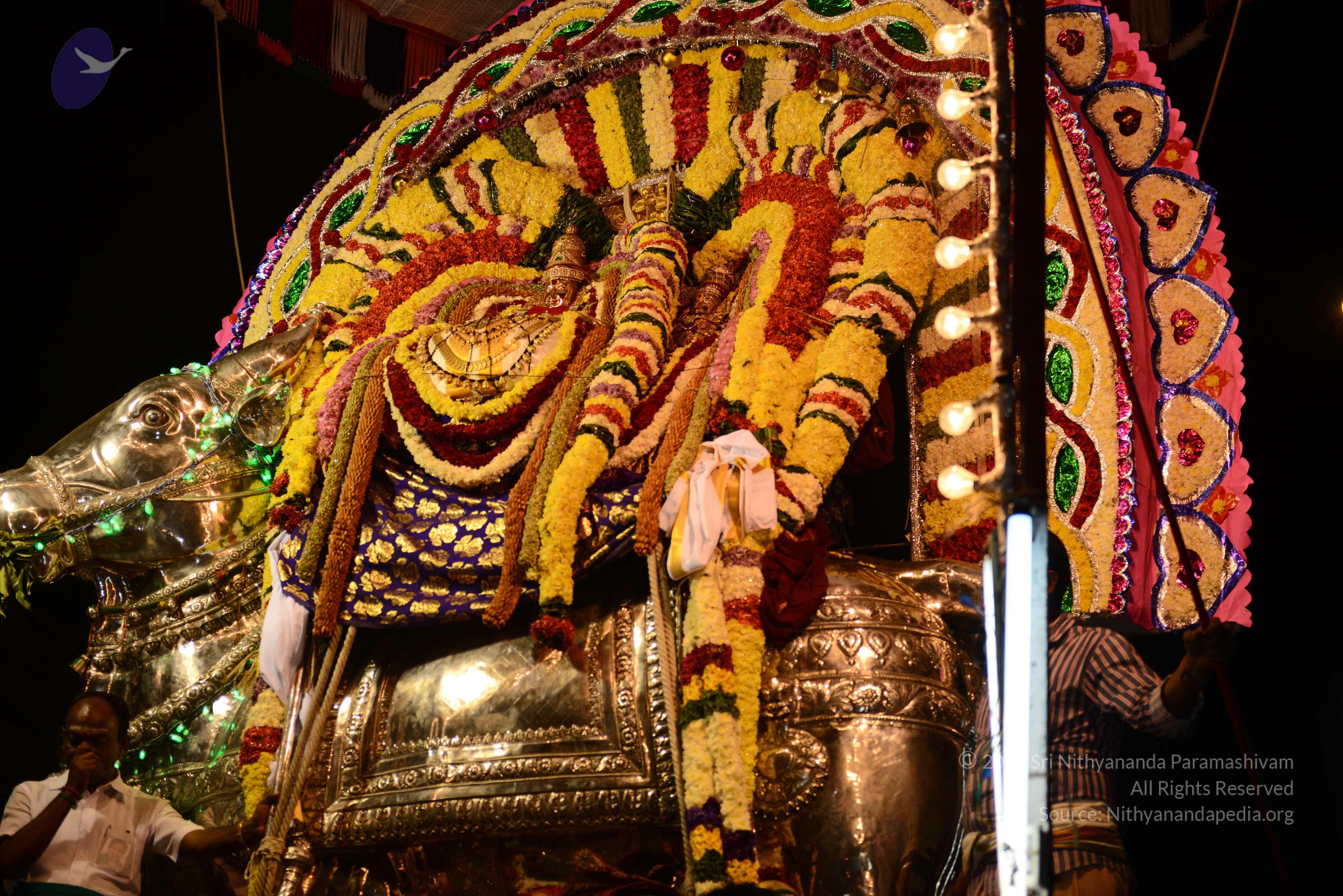 20170207_Photo_1095_DSC_0234_CMP_WM