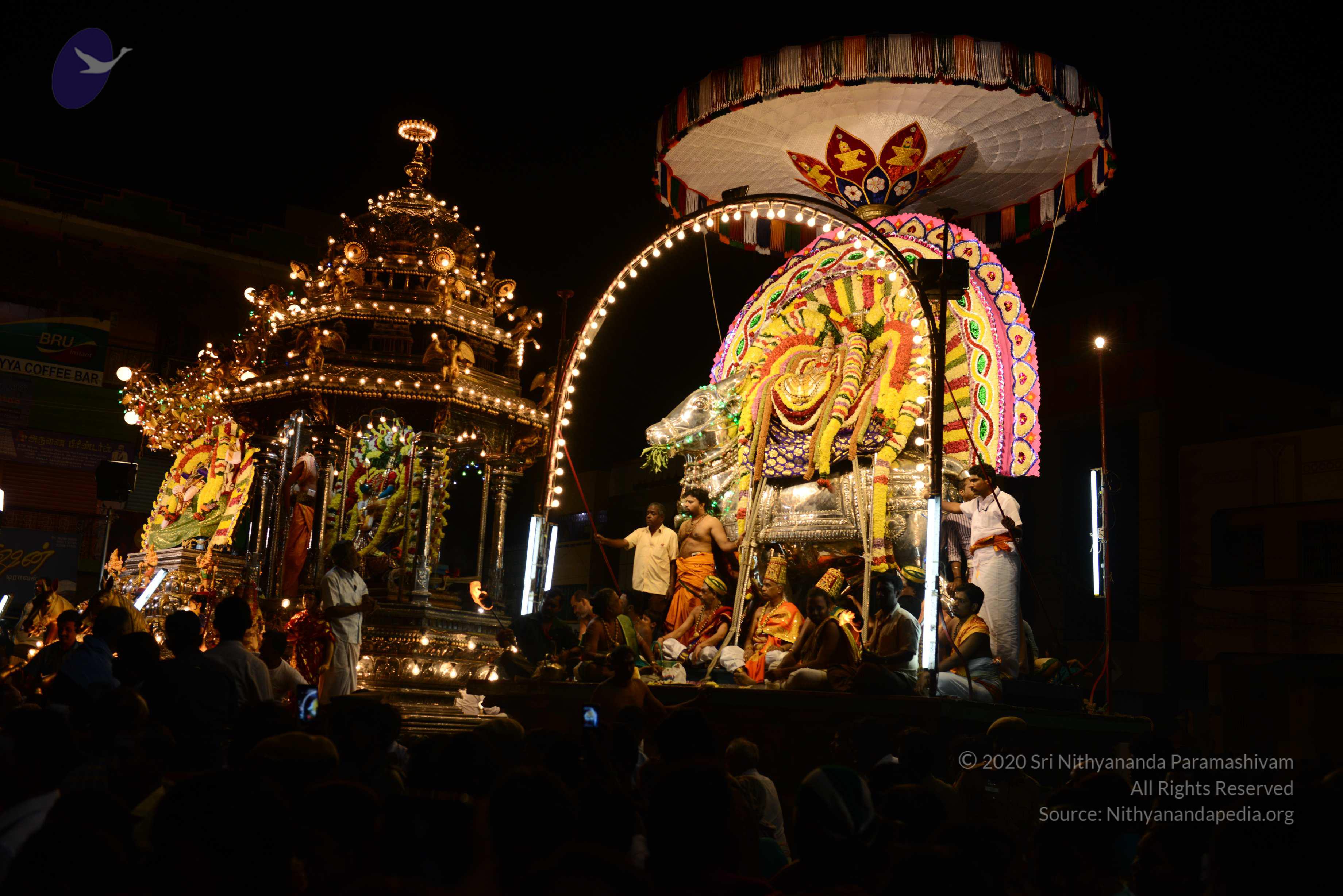 20170207_Photo_1098_DSC_0503_CMP_WM