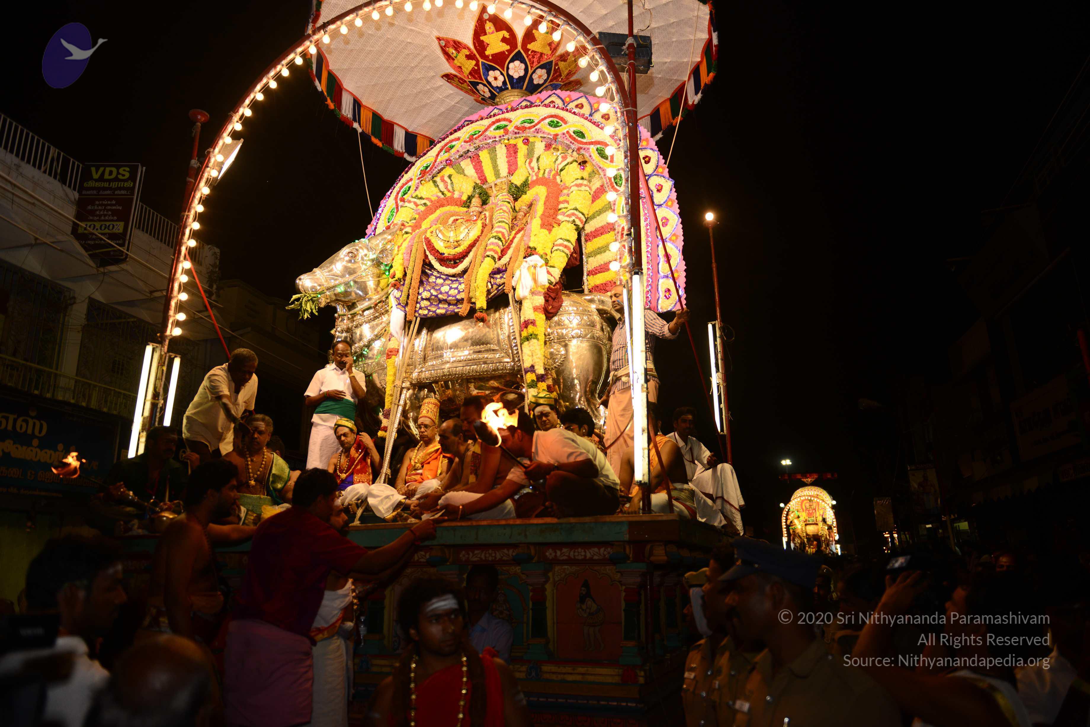 20170207_Photo_1099_DSC_0228_CMP_WM