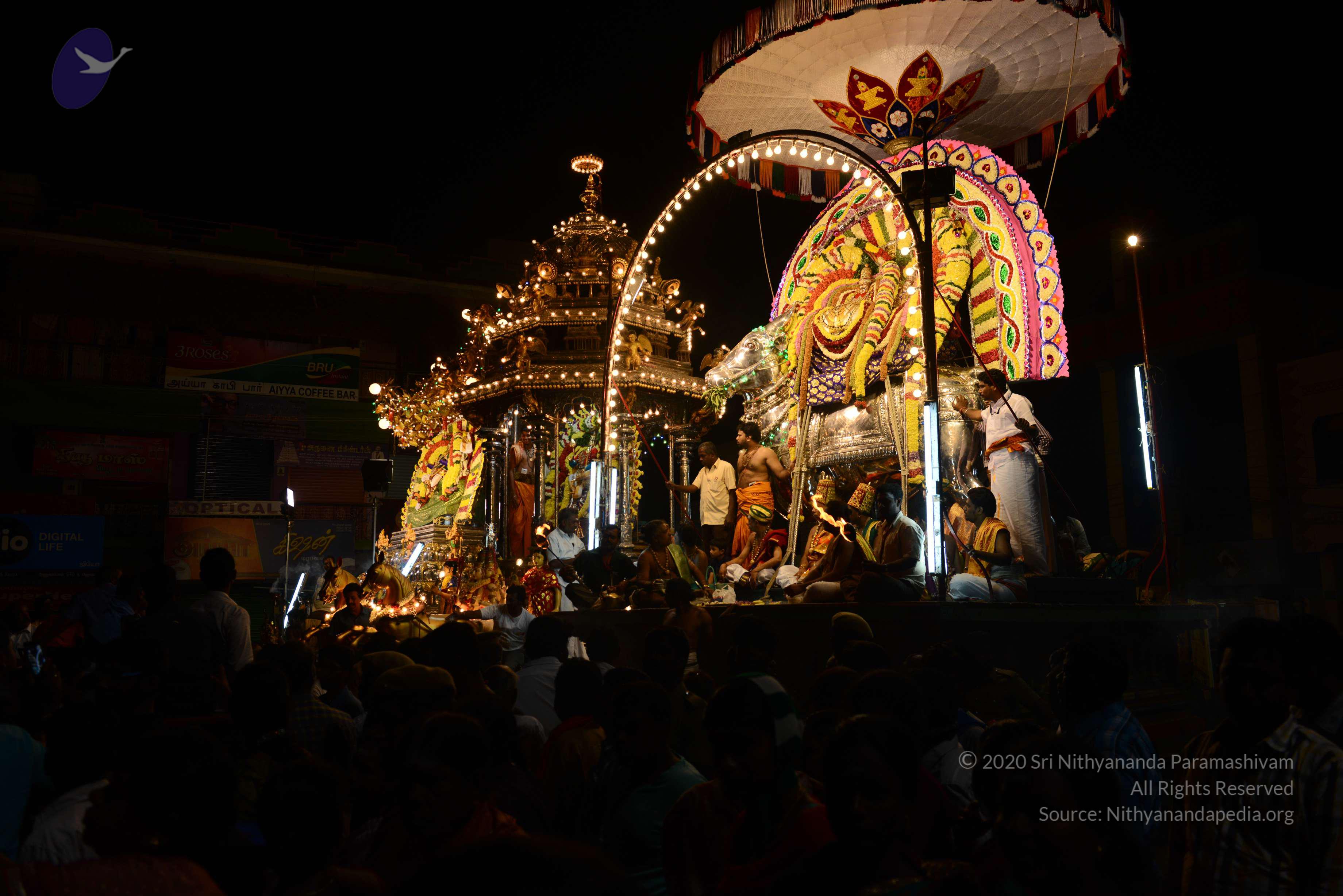 20170207_Photo_1105_DSC_0512_CMP_WM