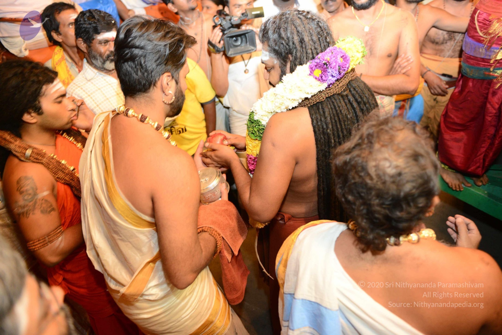 20170207_Photo_1106_DSC_0270_CMP_WM