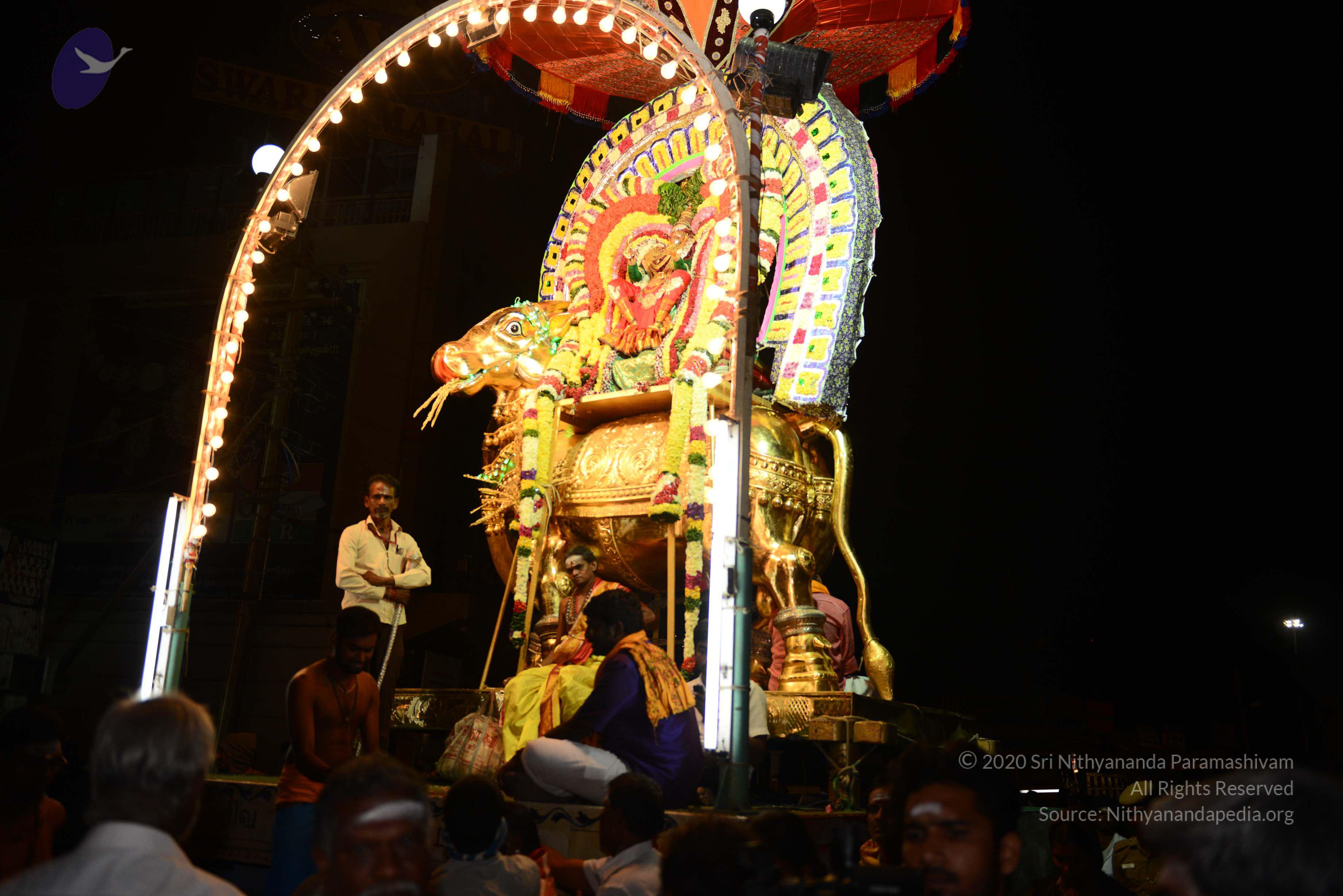 20170207_Photo_1107_DSC_0247_CMP_WM