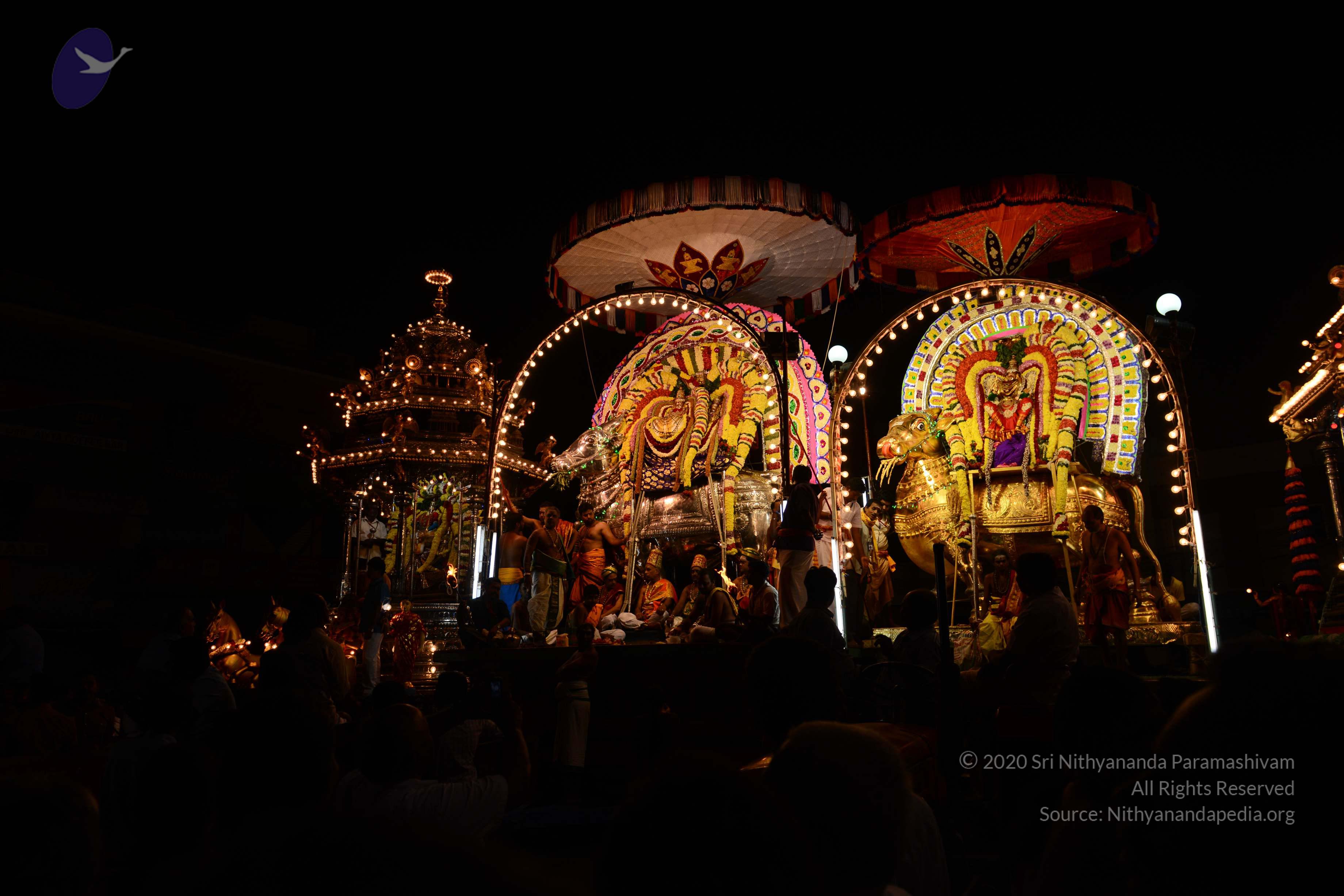 20170207_Photo_1111_DSC_0570_CMP_WM