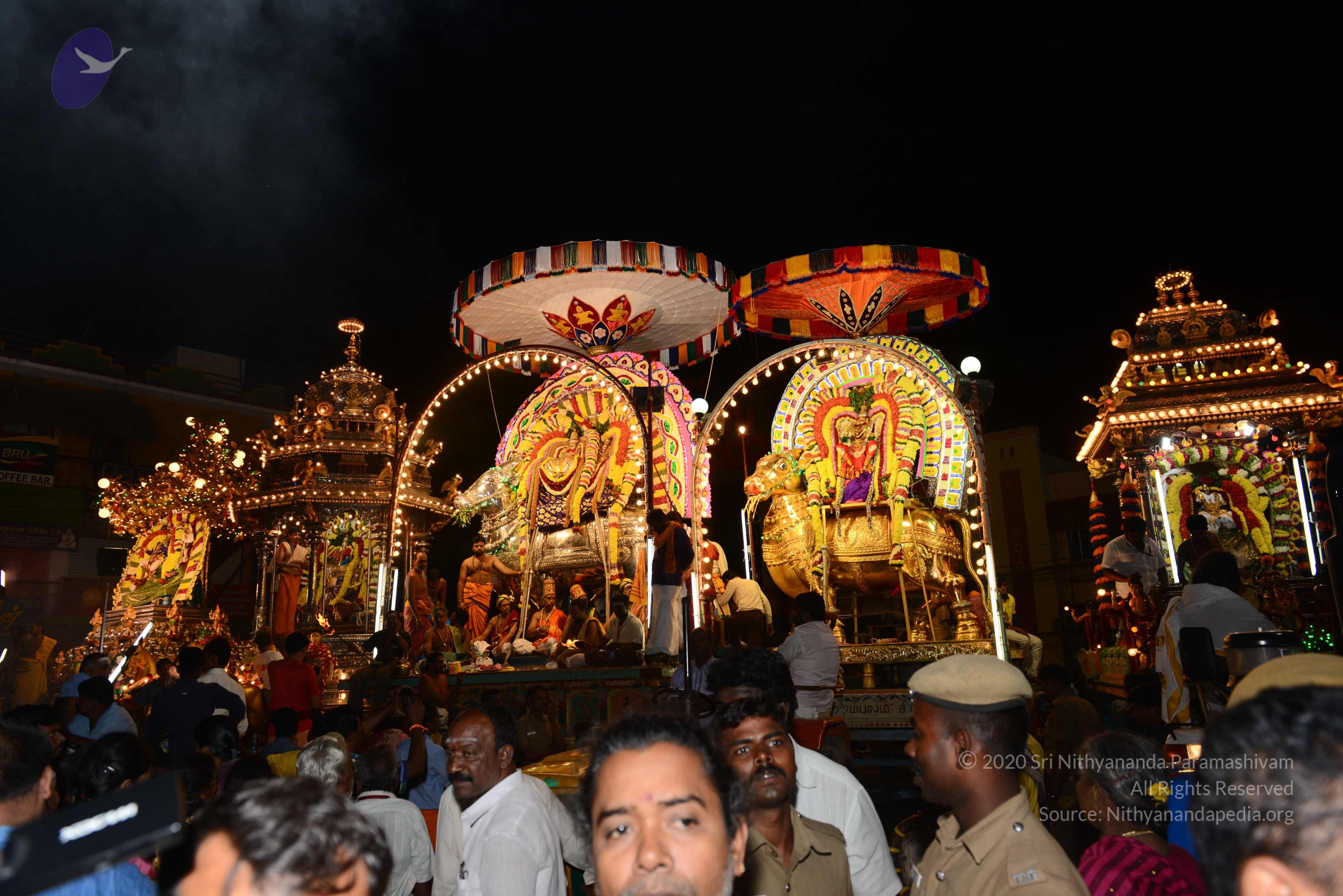 20170207_Photo_1124_DSC_0553_CMP_WM