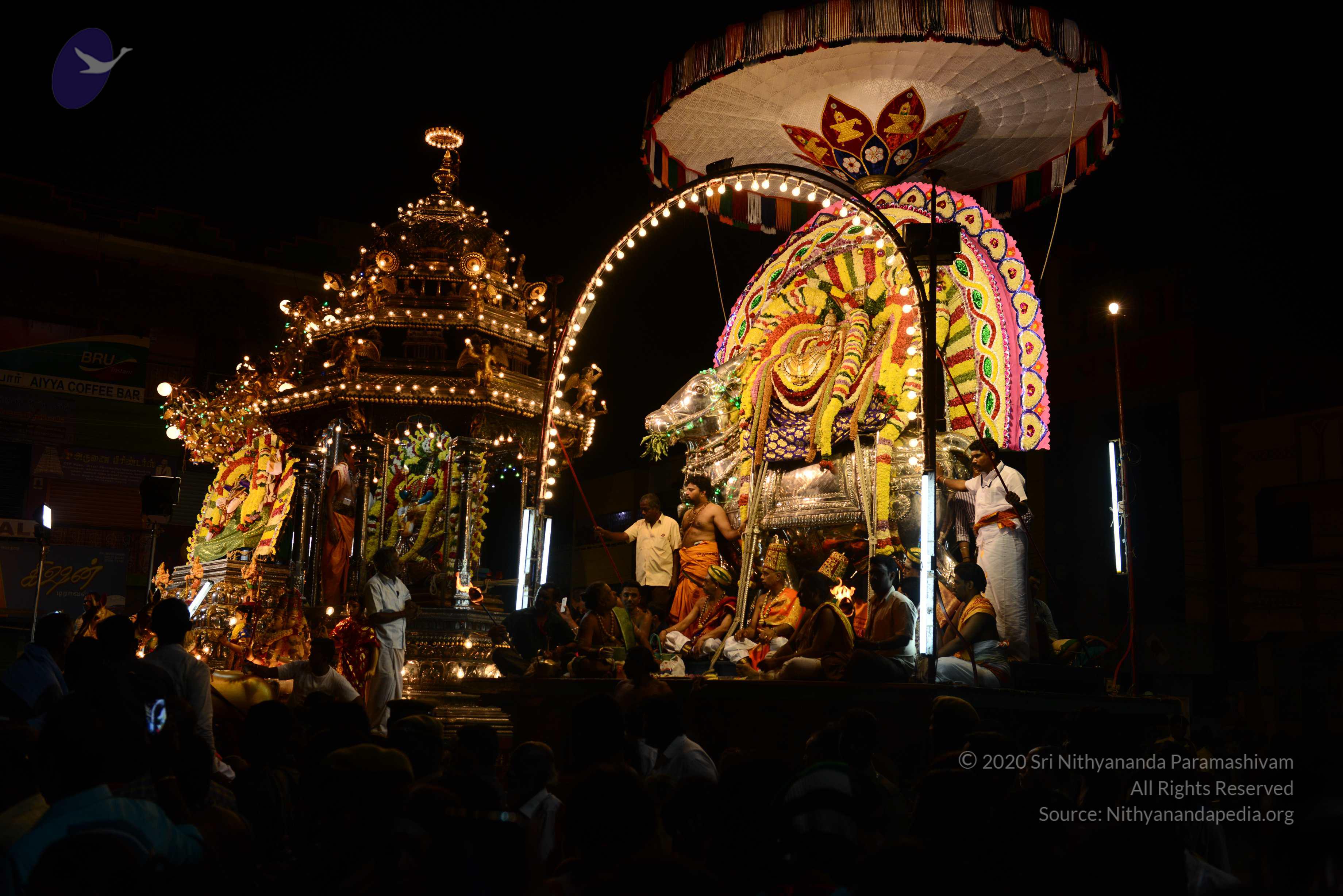 20170207_Photo_1128_DSC_0506_CMP_WM