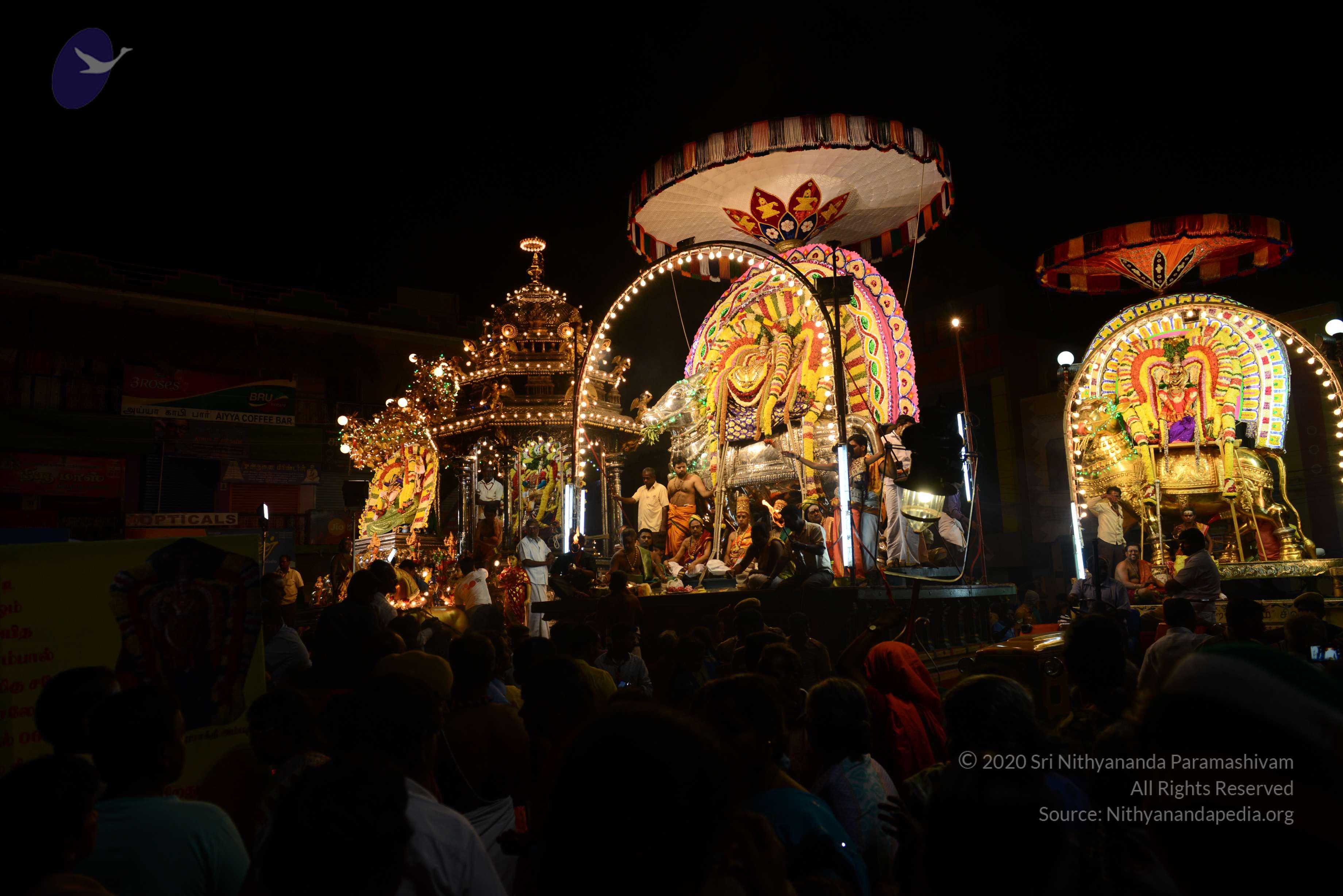 20170207_Photo_1131_DSC_0531_CMP_WM