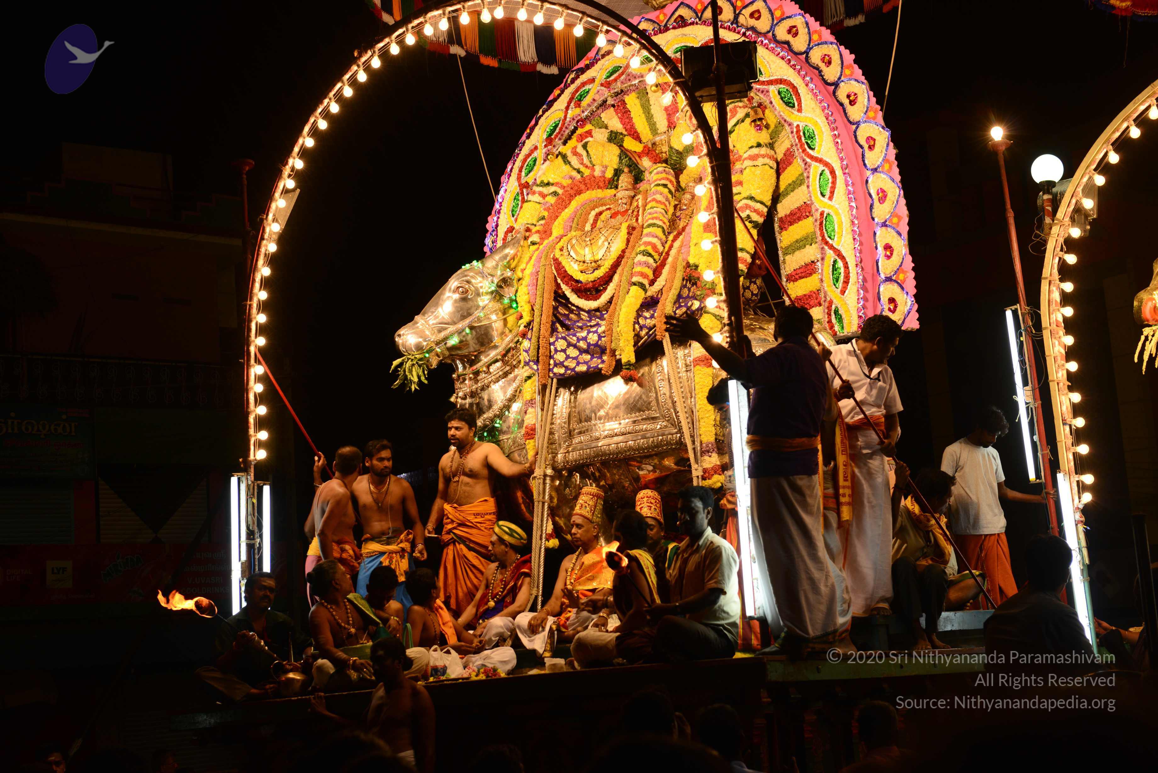 20170207_Photo_1136_DSC_0578_CMP_WM