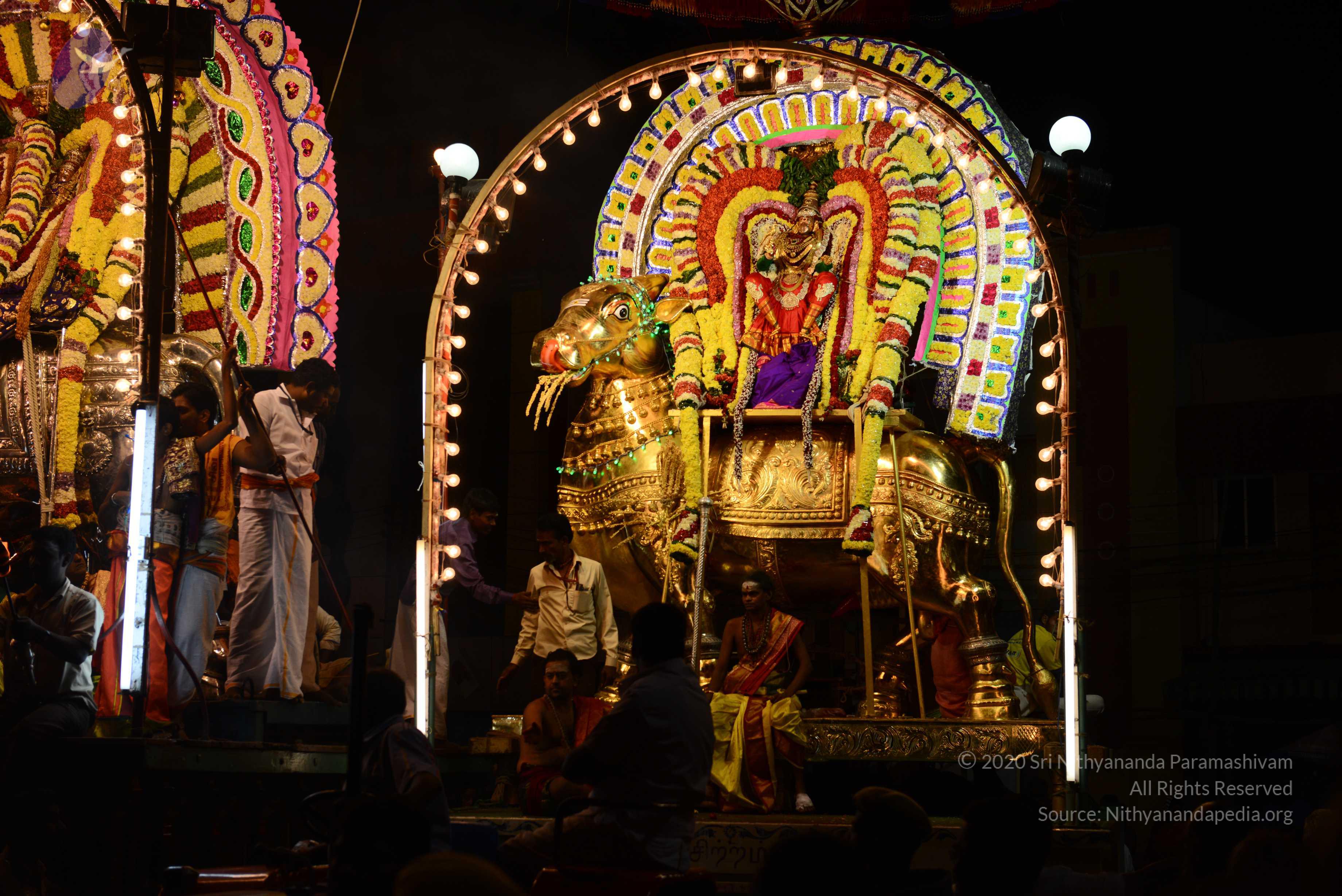 20170207_Photo_1145_DSC_0536_CMP_WM