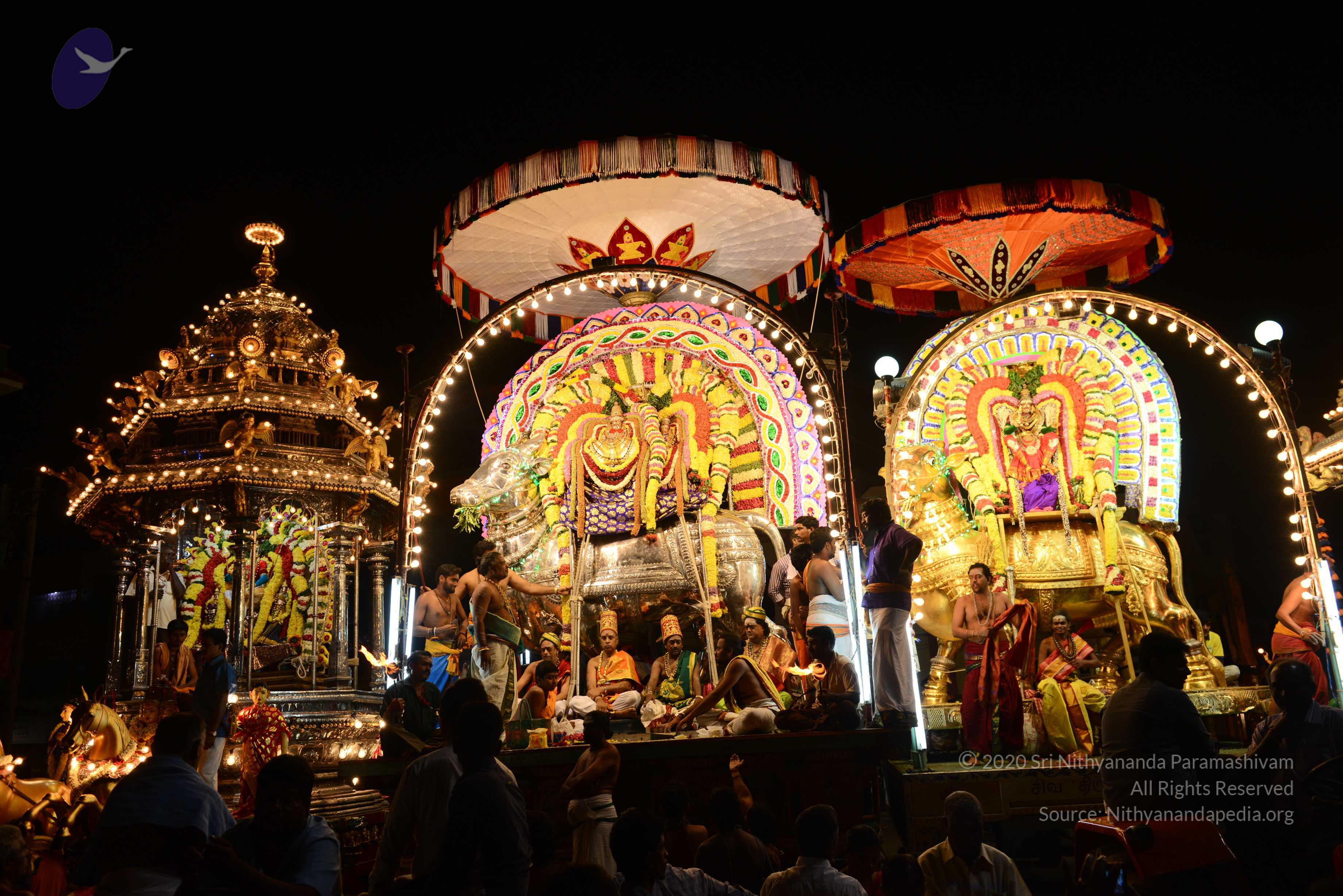 20170207_Photo_1153_DSC_0572_CMP_WM