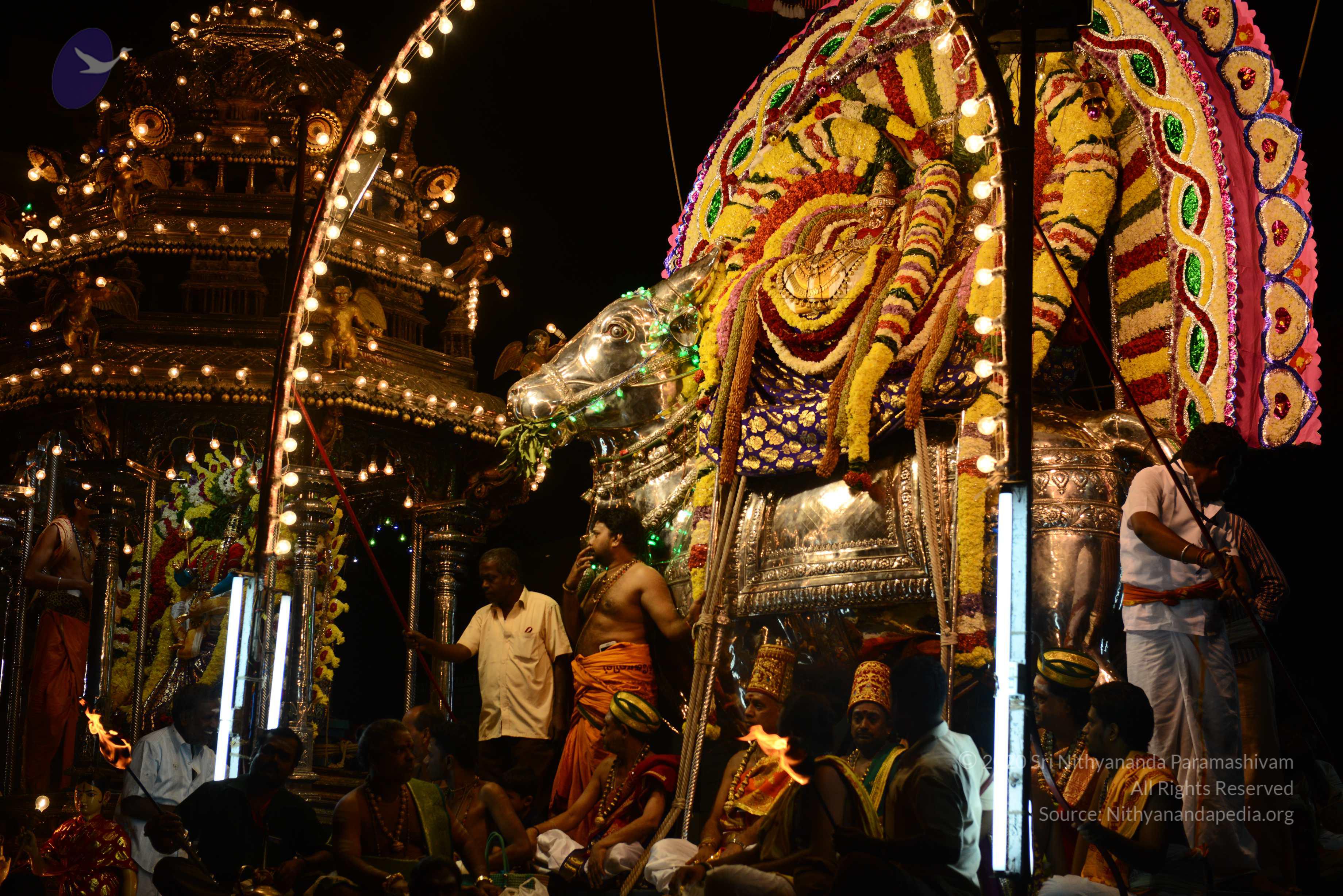 20170207_Photo_1158_DSC_0515_CMP_WM