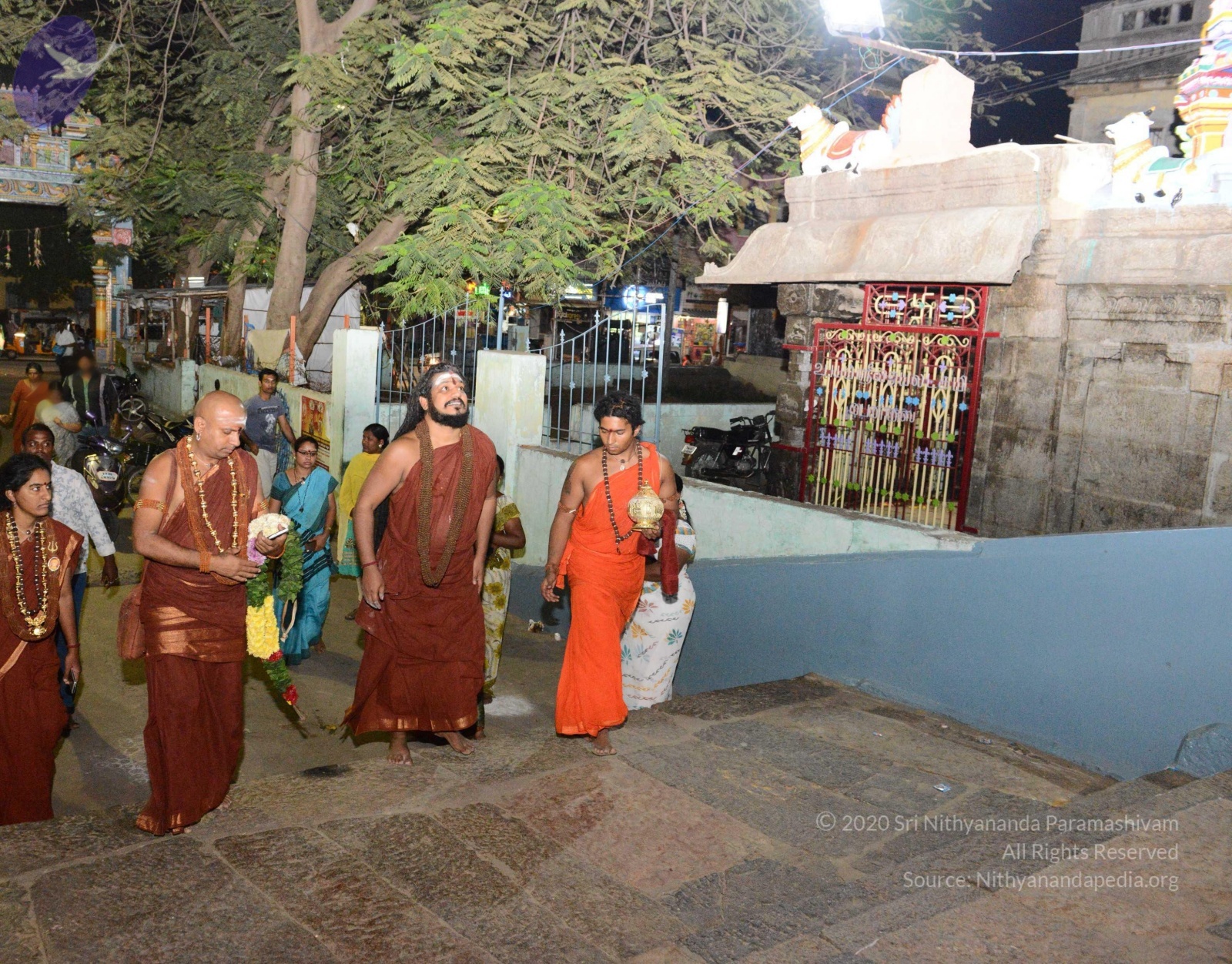 20170207_Photo_1165_DSC_1014_CMP_WM Done