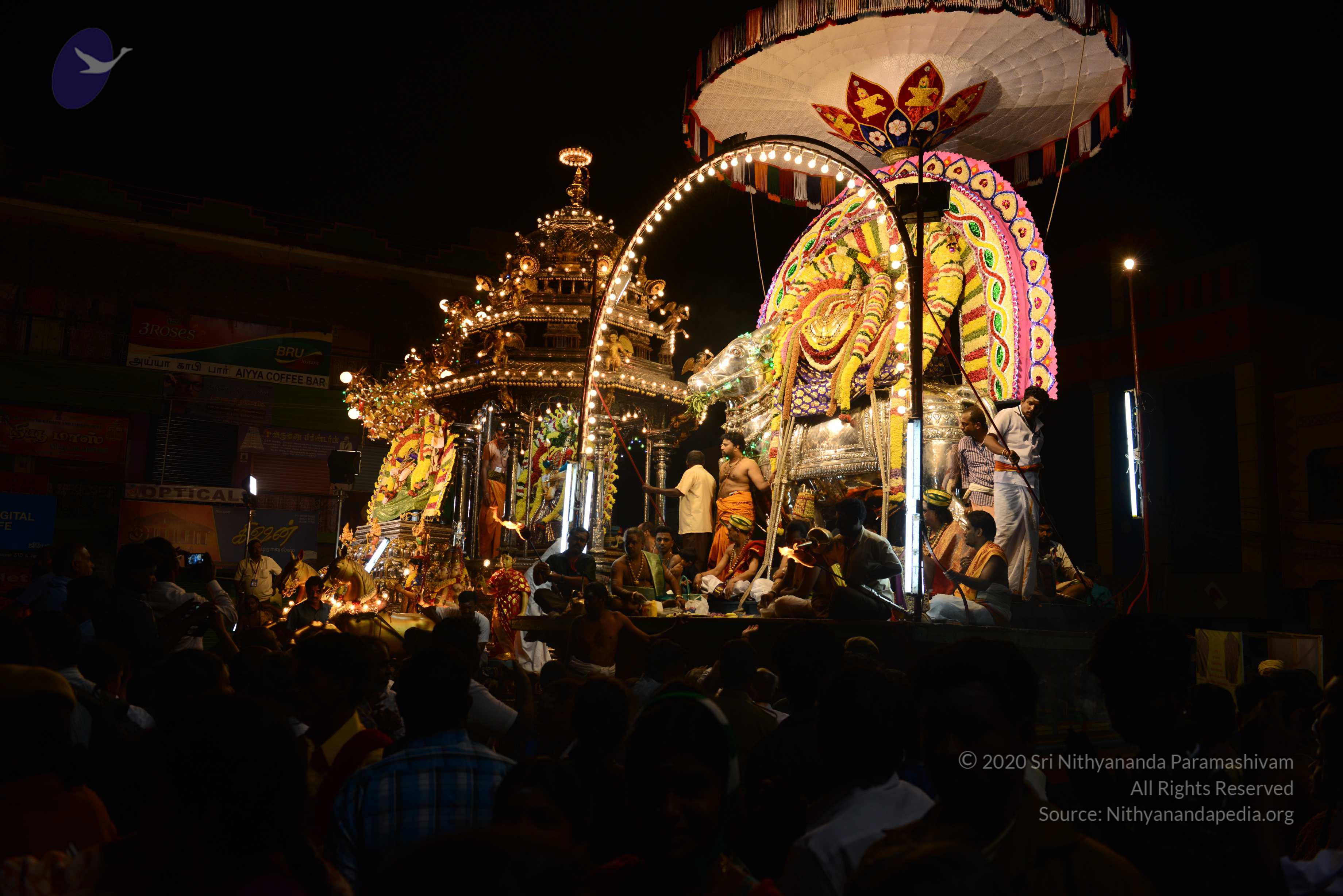 20170207_Photo_1173_DSC_0518_CMP_WM