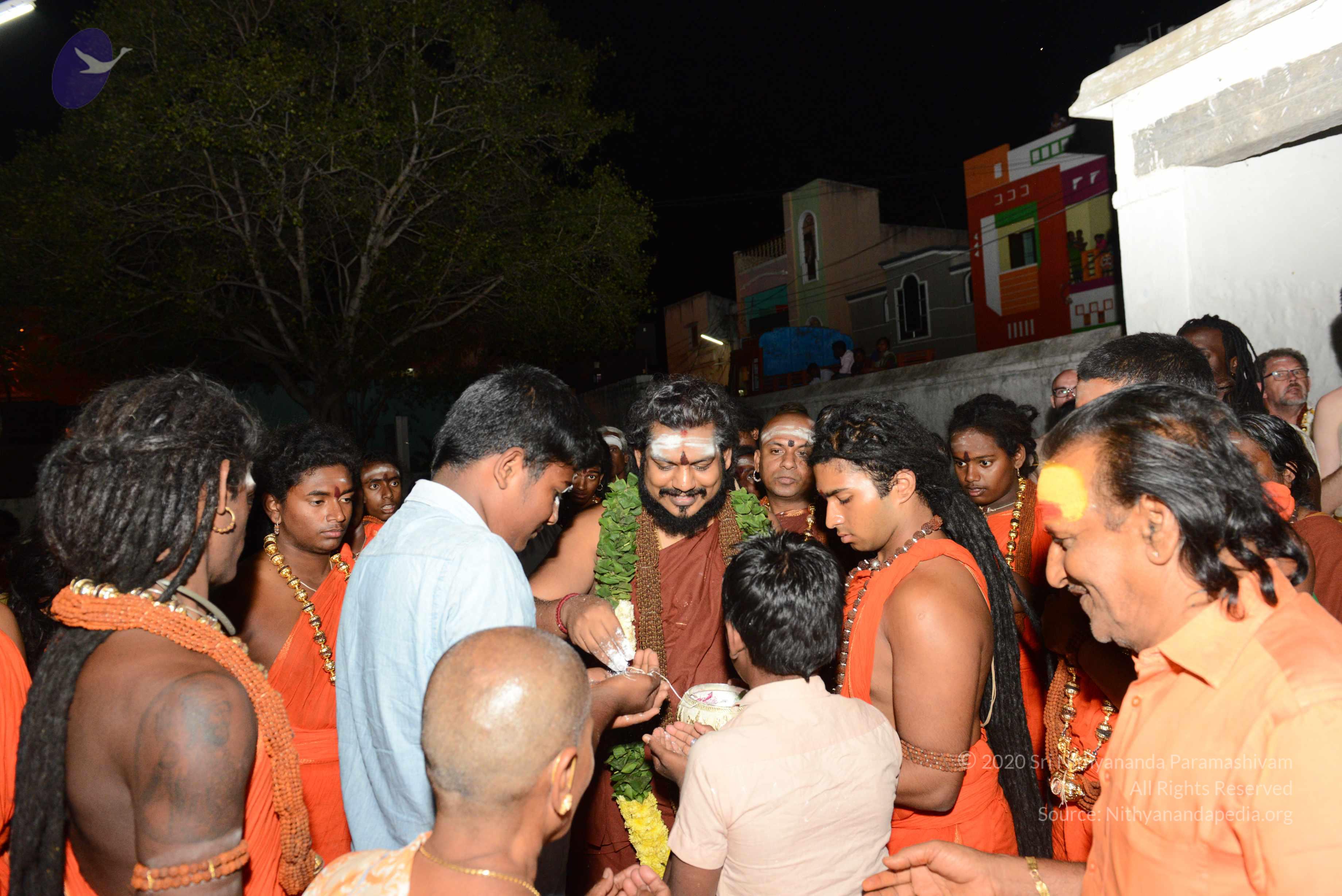 20170207_Photo_1000_DSC_0919_CMP_WM