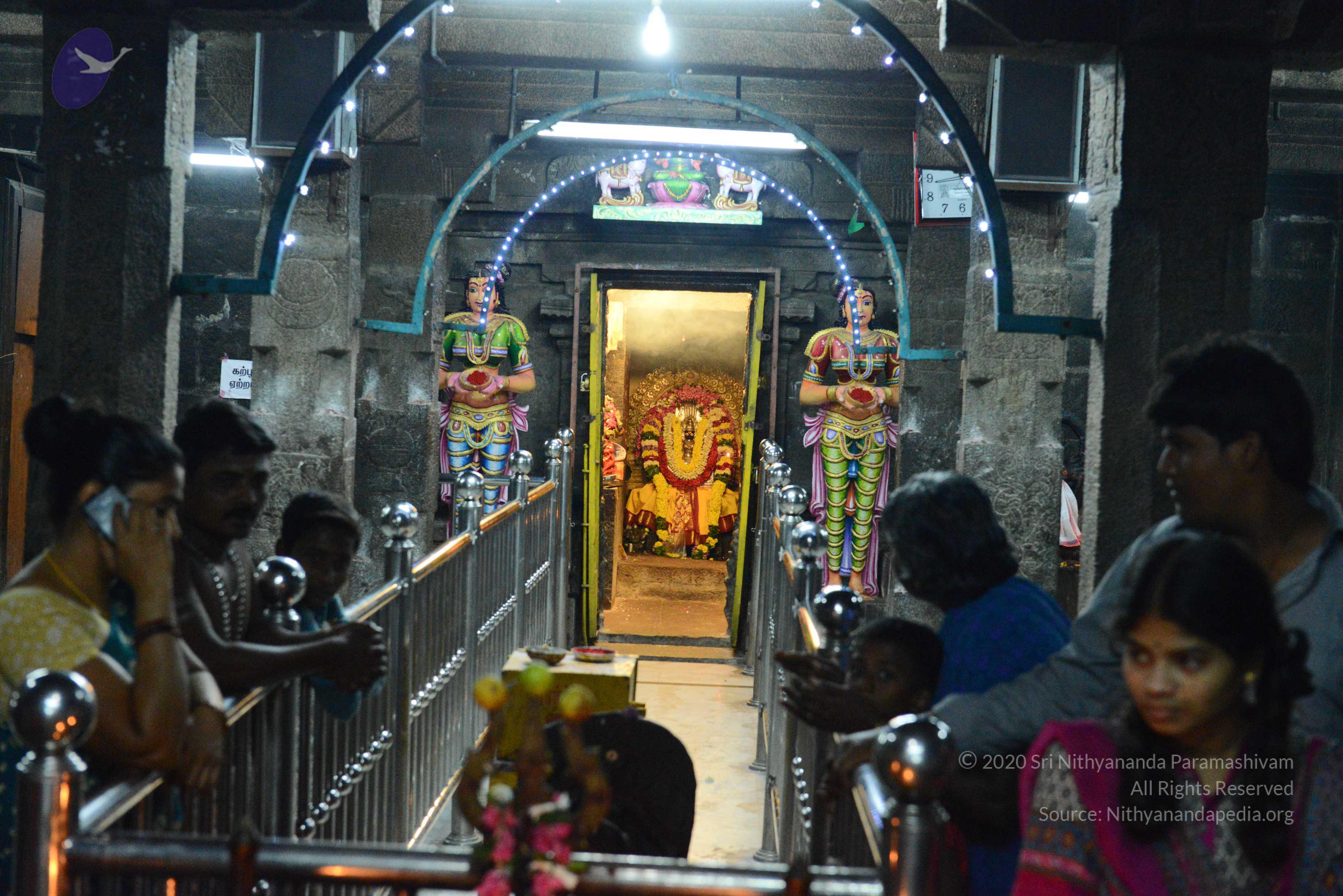 20170207_Photo_1016_DSC_0892_CMP_WM